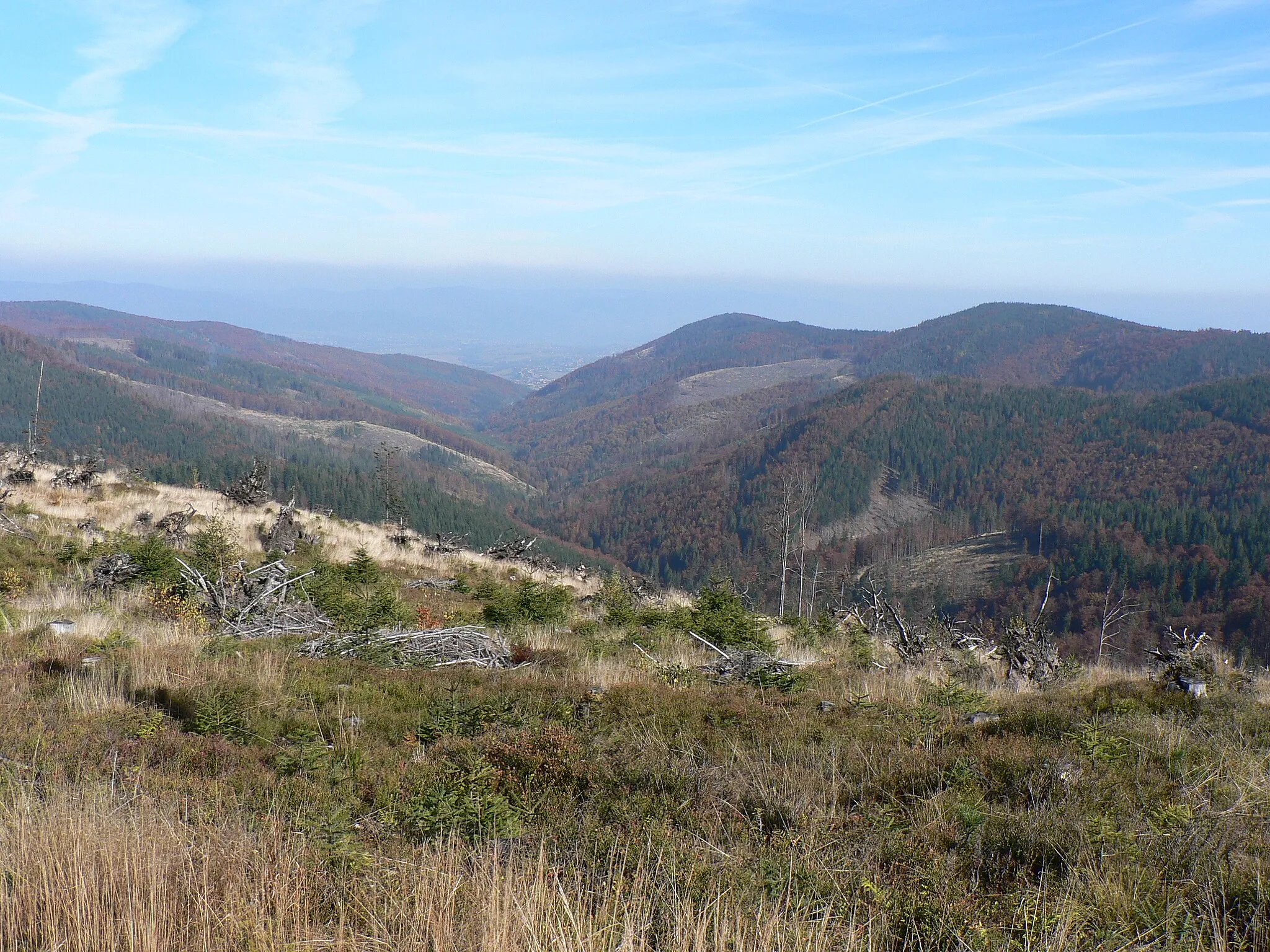 Photo showing: Ostre i Murońka ze szlaku Skrzyczne – Barania Góra, gdzieś pomiędzy Malinowską Skałą a Zielonym Kopcem