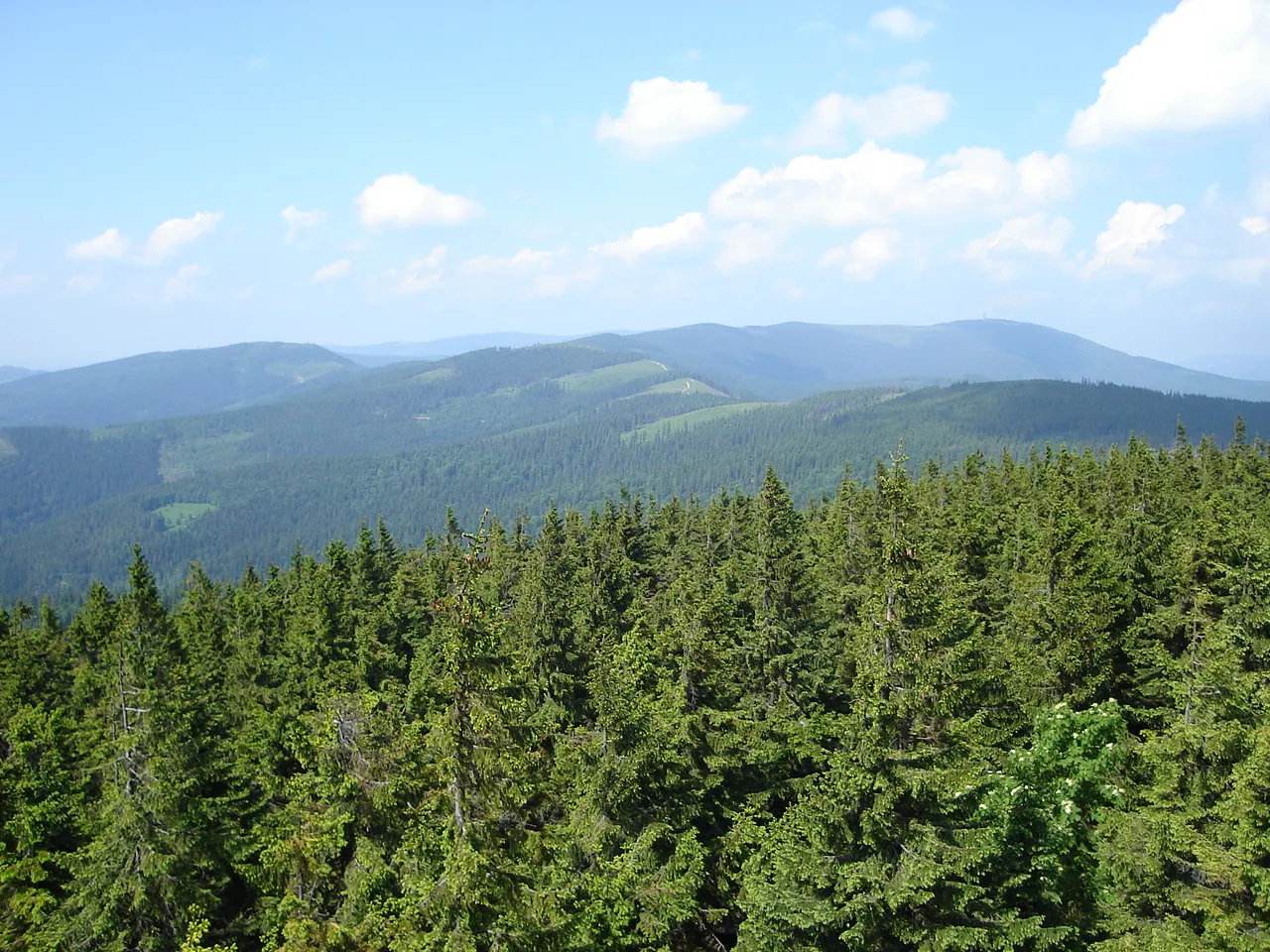 Photo showing: View of Skrzyczne from the watchtower on Barania Góra