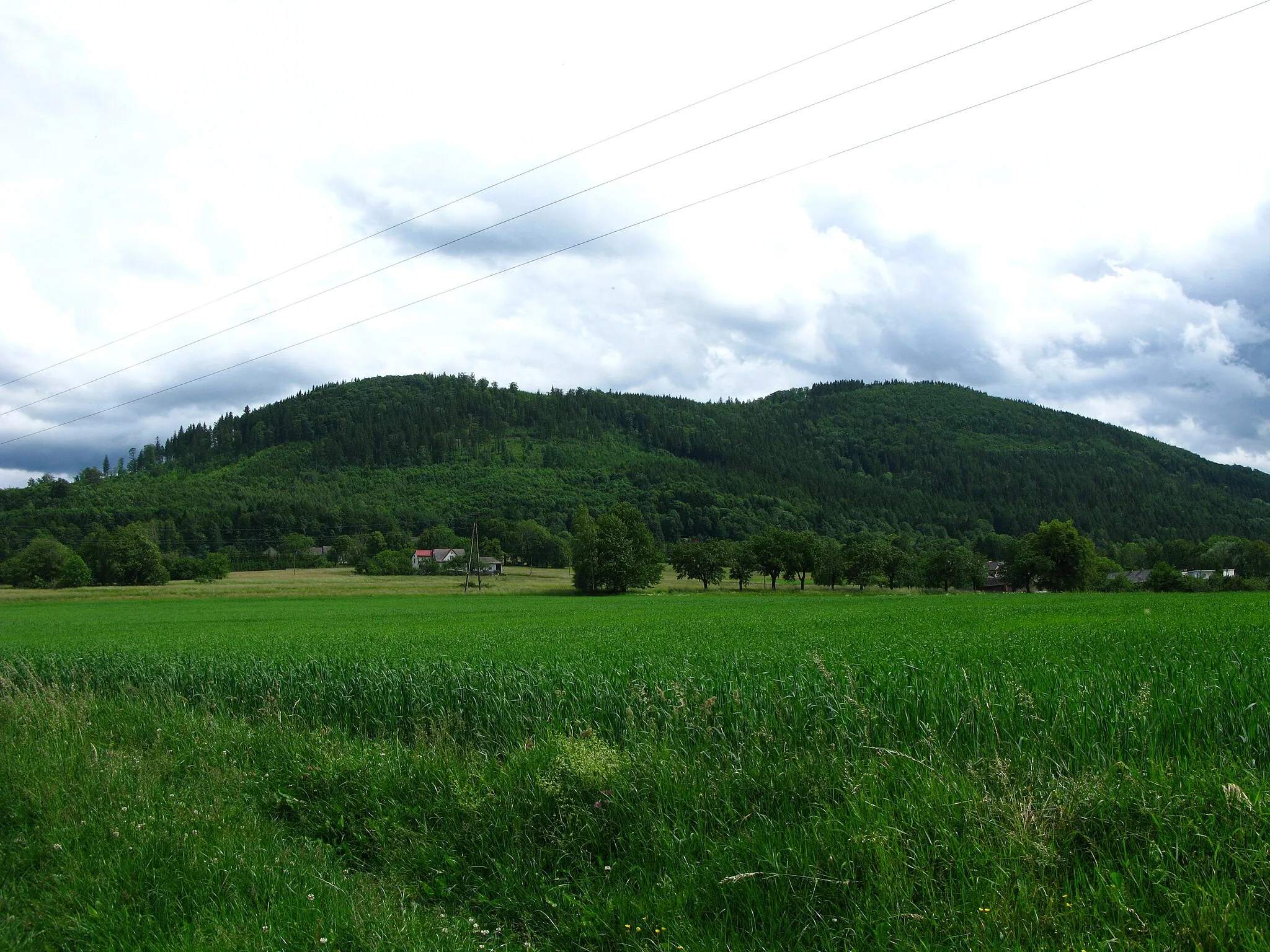 Photo showing: Lipowski Groń mountain in Beskid Śląski