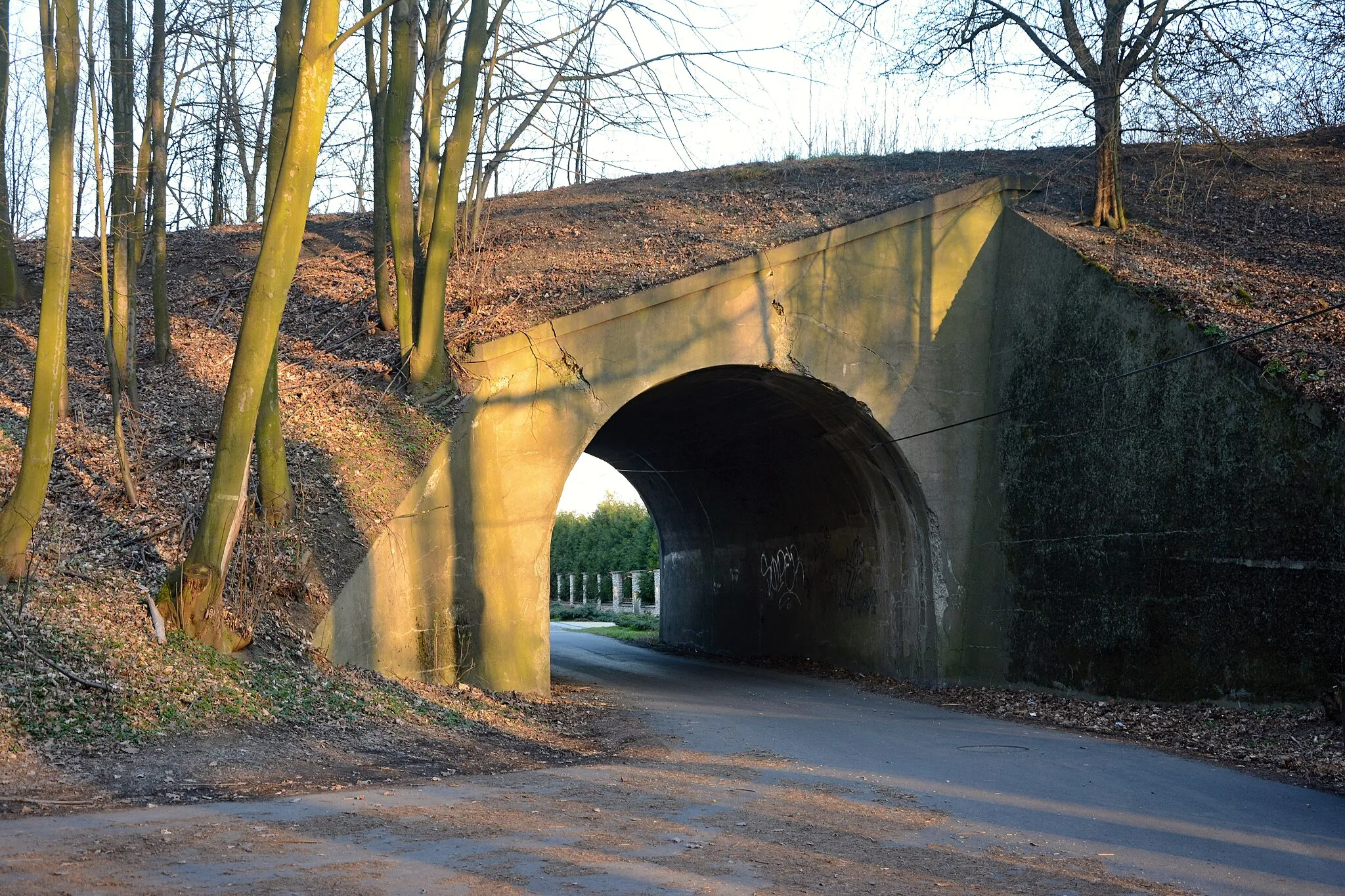 Photo showing: Railway viaduct in Šilheřovice nnearby Ostrava-Koblov, uncompleted railway line from Petřkovice to Chałupki