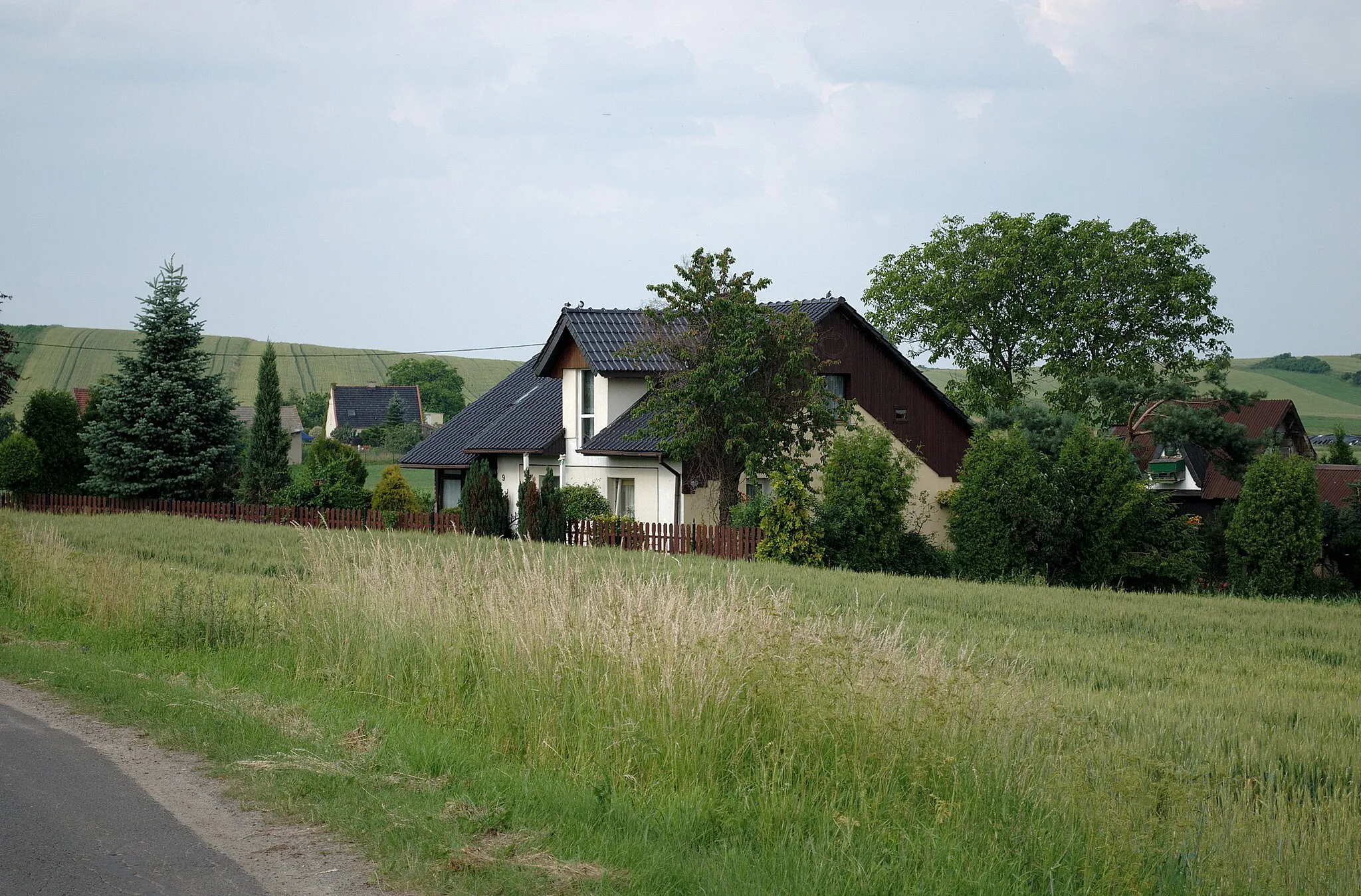 Photo showing: Kotliszowice. Krzyż przydrożny.