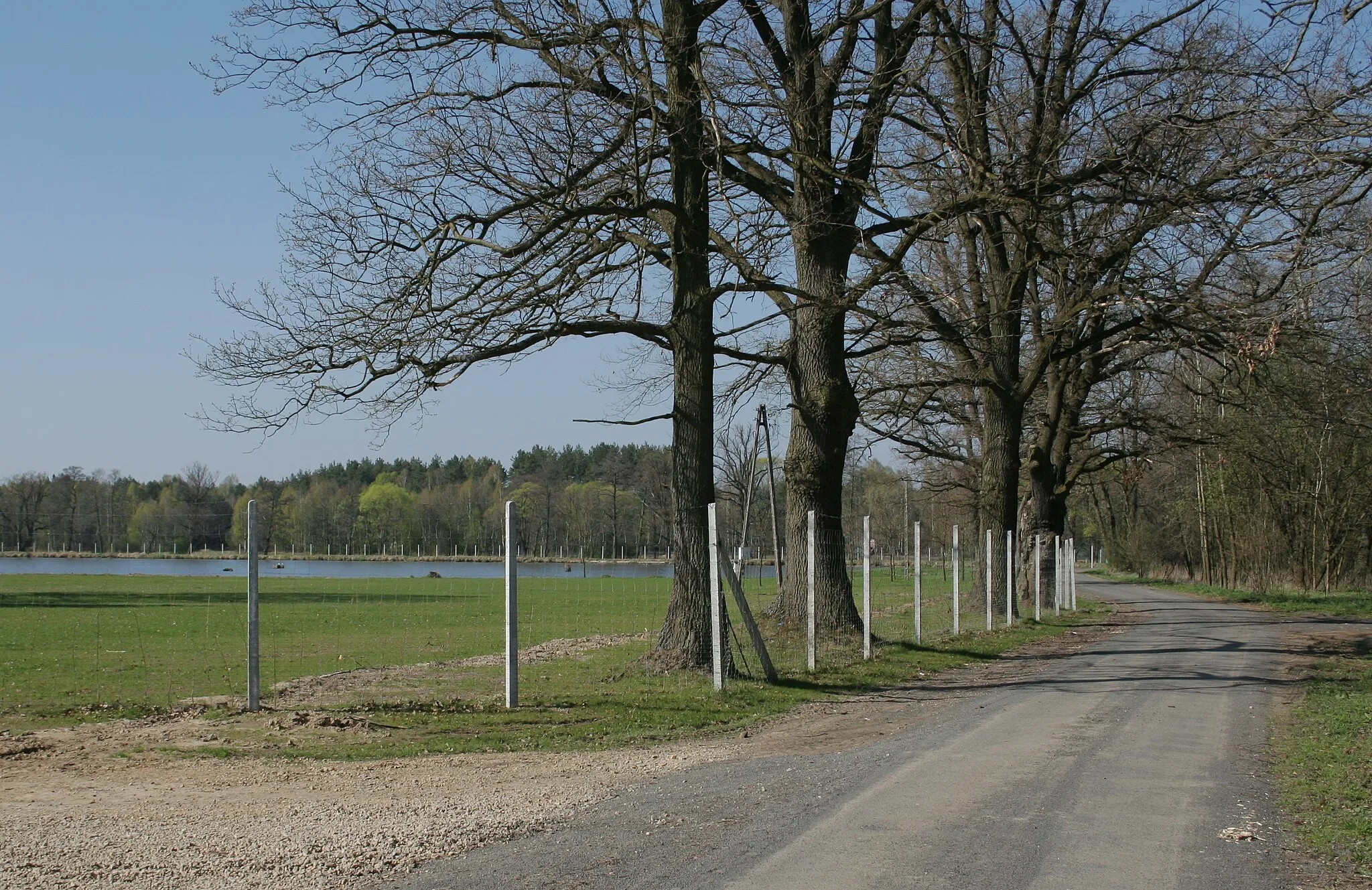 Photo showing: Droga w przysiółku Doły, gmina Boronów