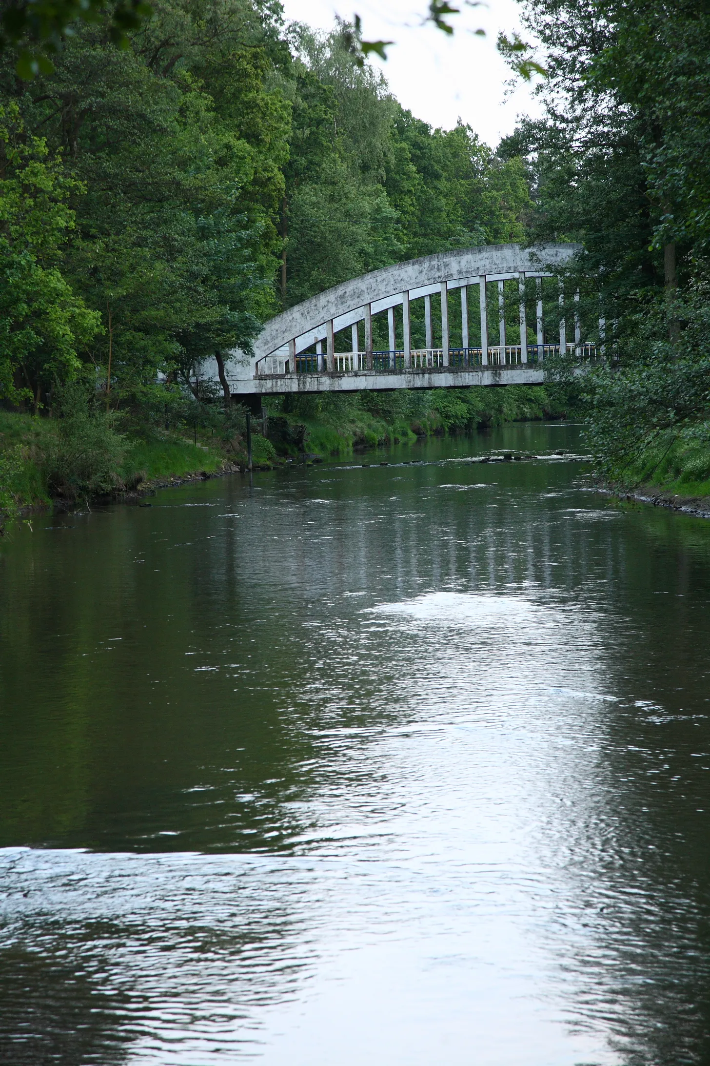 Photo showing: Mala Panew river by the concrete bridge in Krupski Młyn