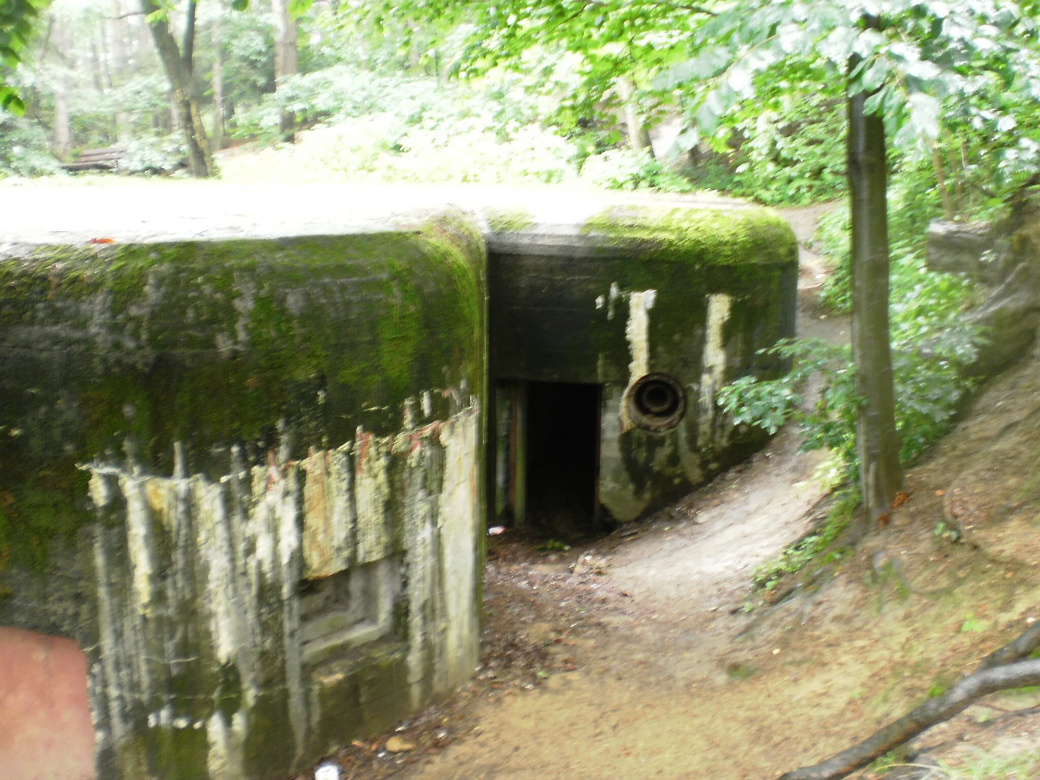 Photo showing: Fort Waligora