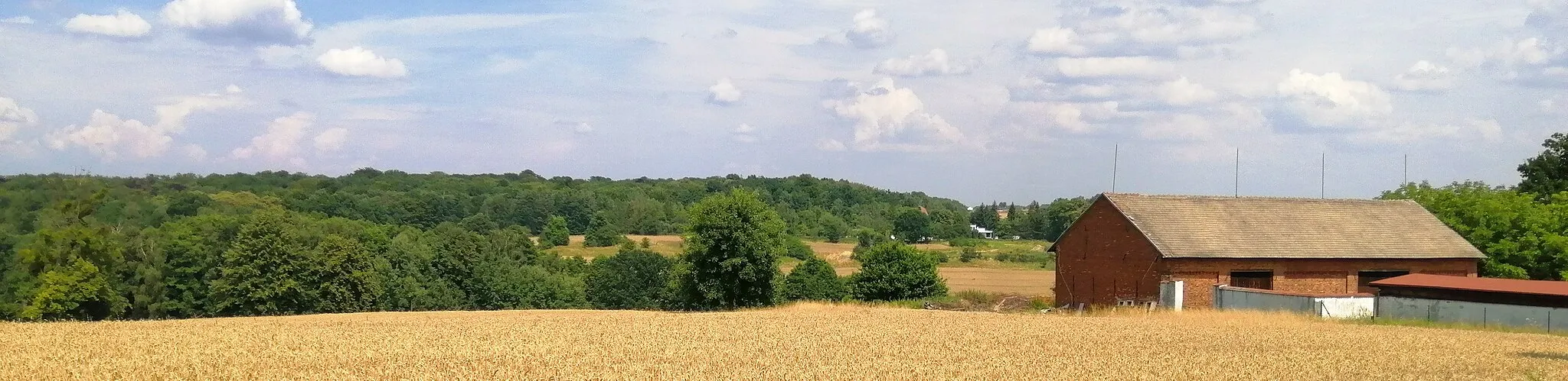 Photo showing: Widok na dolinę rzeki Dramy z Góry Mikołaja w Reptach Starych