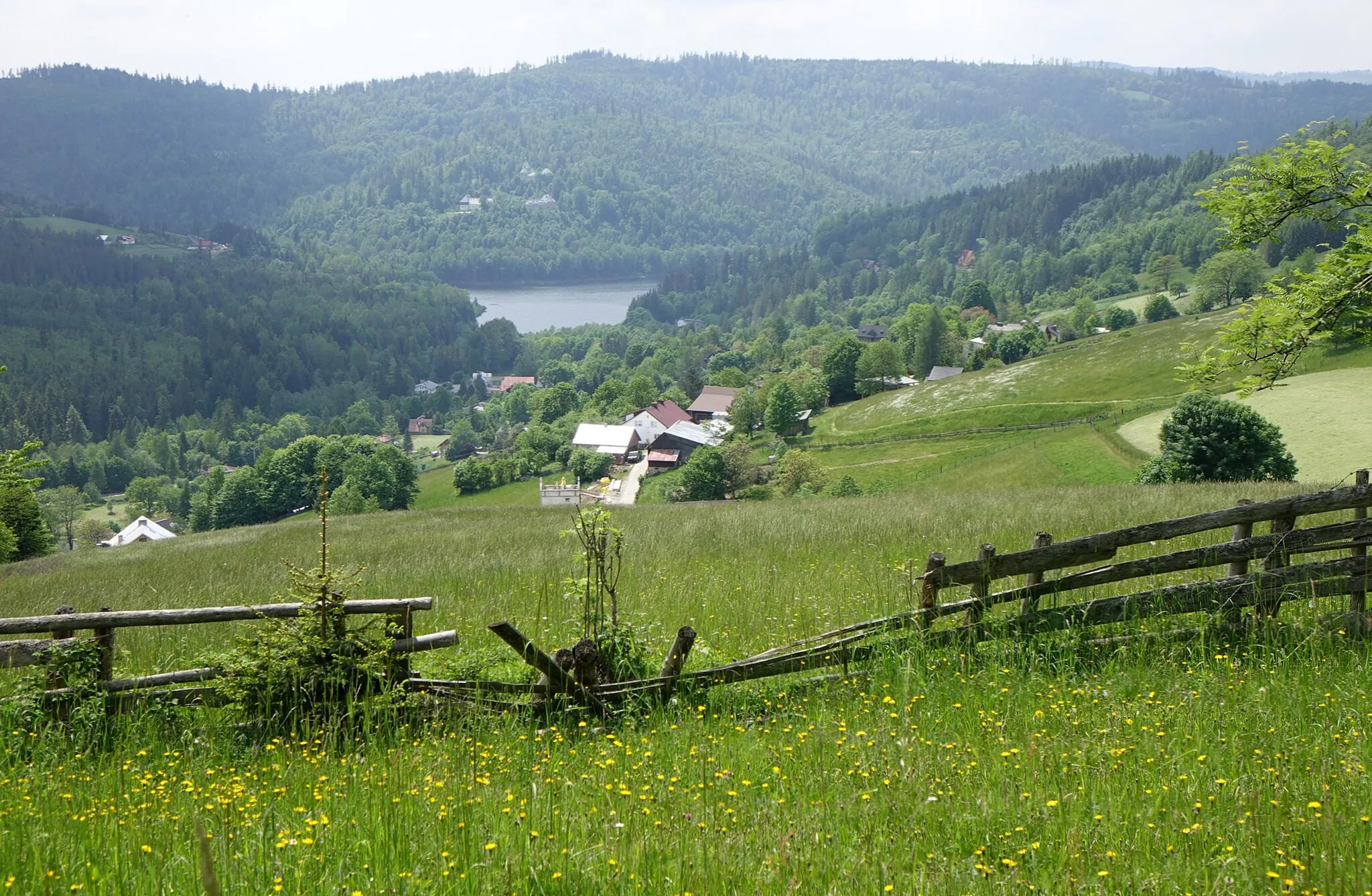 Photo showing: Cienków