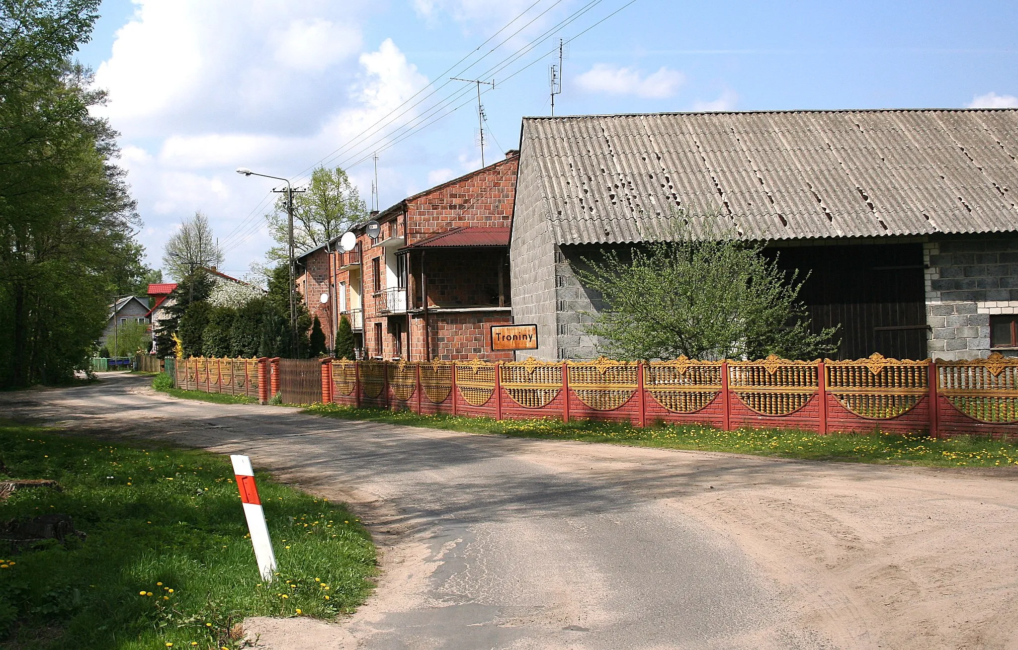 Photo showing: Fragment miejscowości Troniny, woj. łódzkie