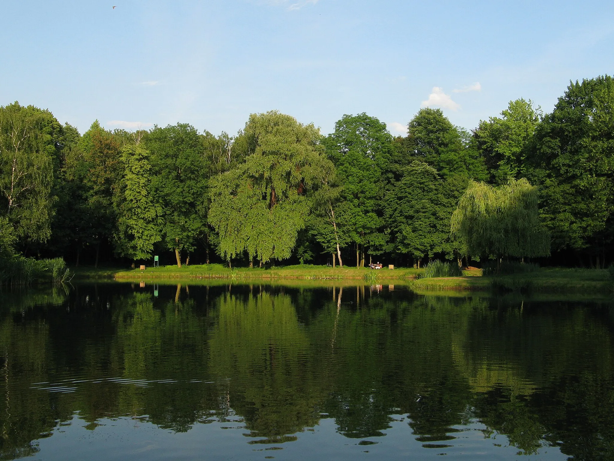 Photo showing: Siemianowice Śląskie, Poland, the pond in Górnik park.