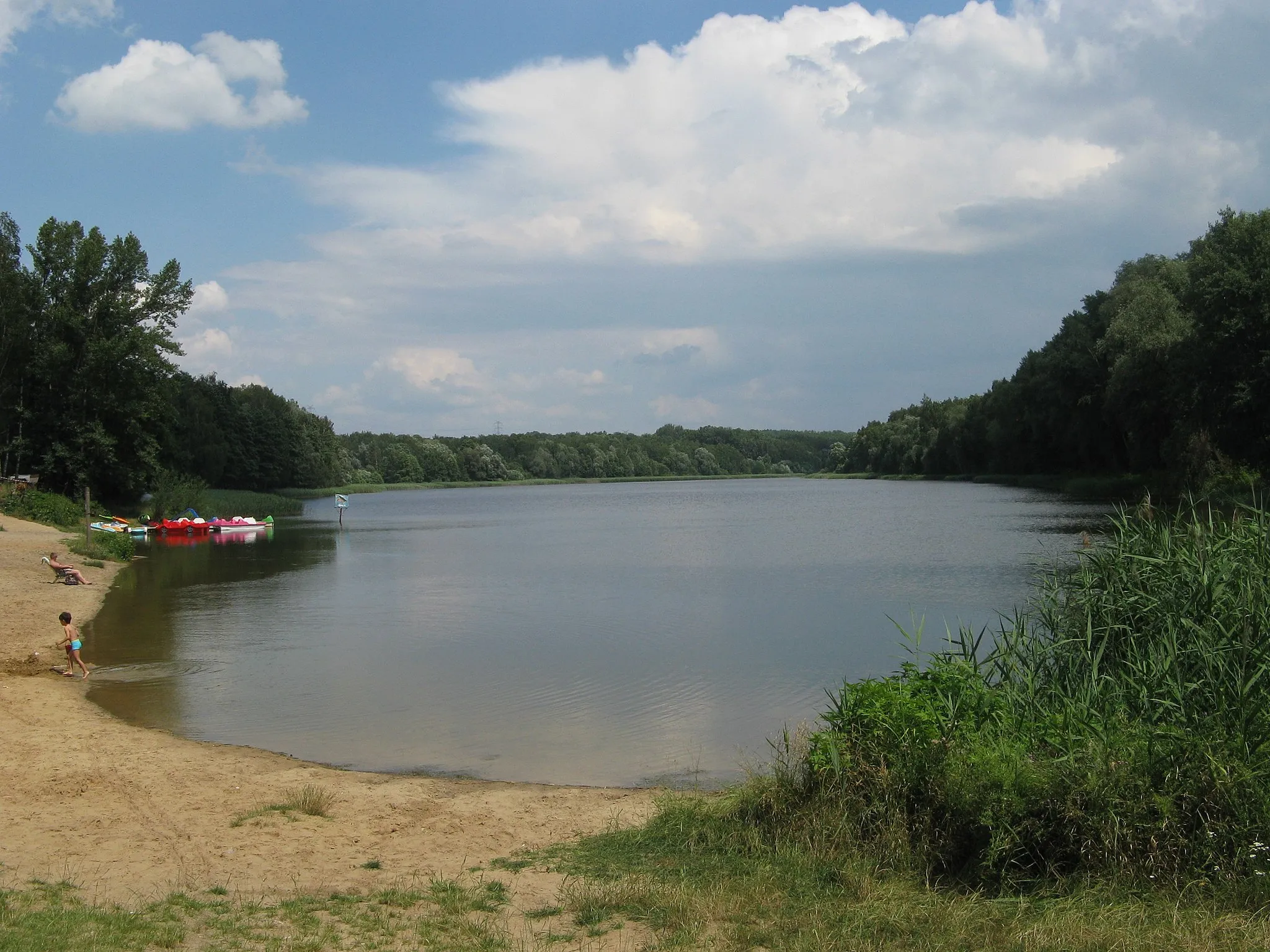 Photo showing: Rogoźnik II (Zalew Górny) pond in Rogoźnik, powiat będziński, Poland.