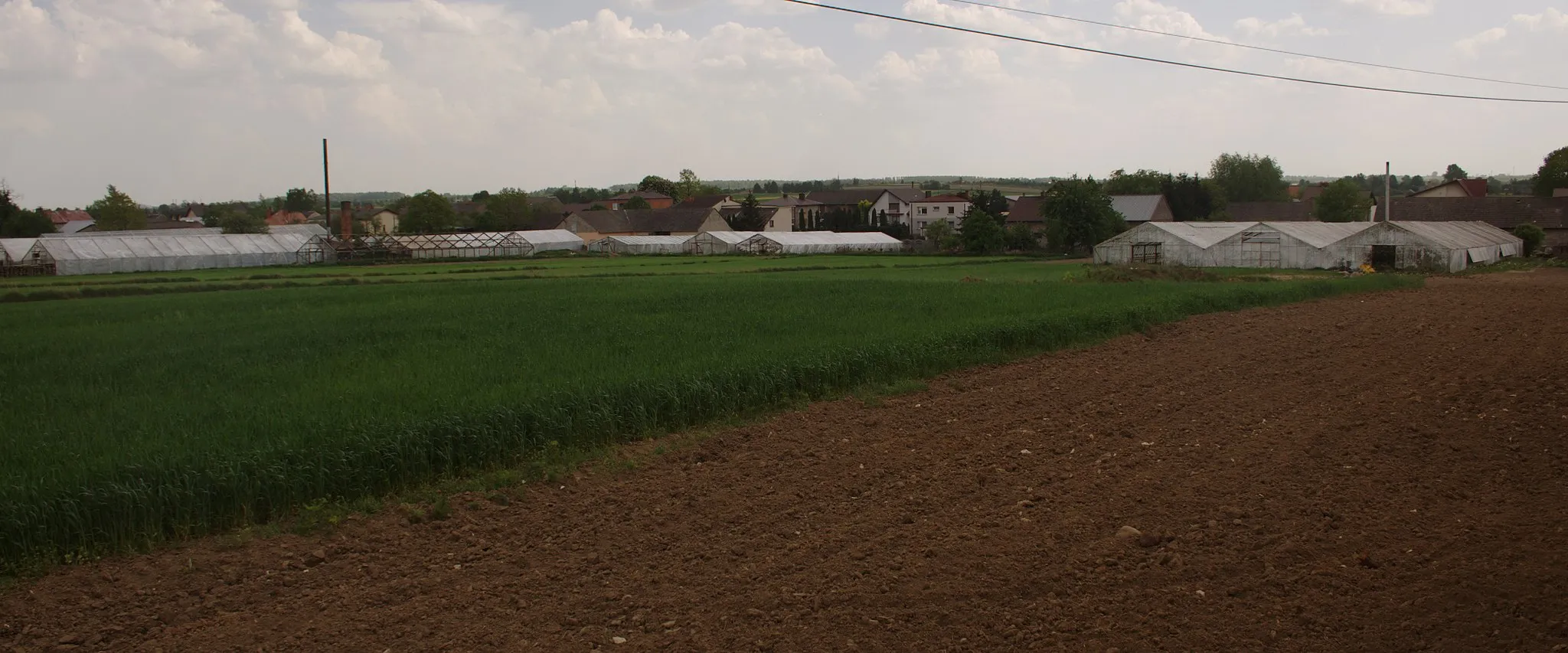 Photo showing: Szklarnie w miejscowości Radostków w gminie Mykanów