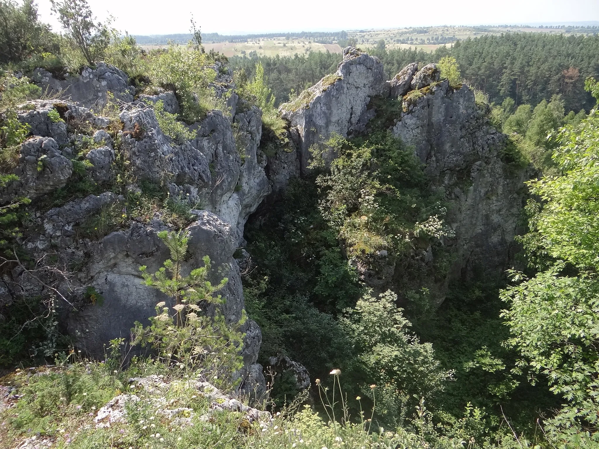 Photo showing: Duże Rajce w Przewodziszowicach