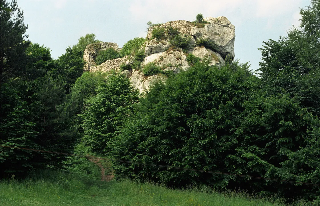 Photo showing: Morsko, pozostałości zamku Bąkowiec