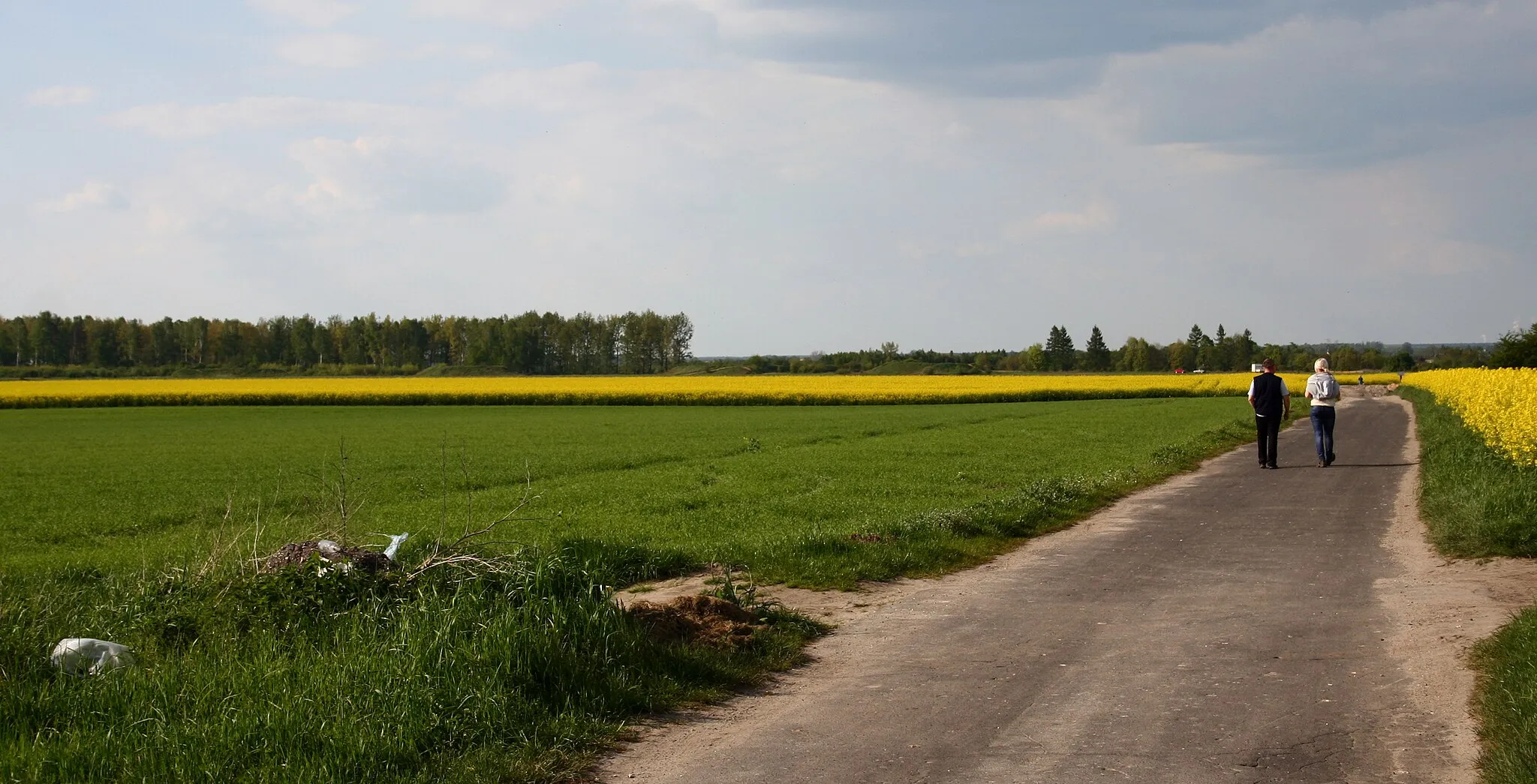 Photo showing: Marianka Rędzińska, ul. Prosta - miejsce spacerów