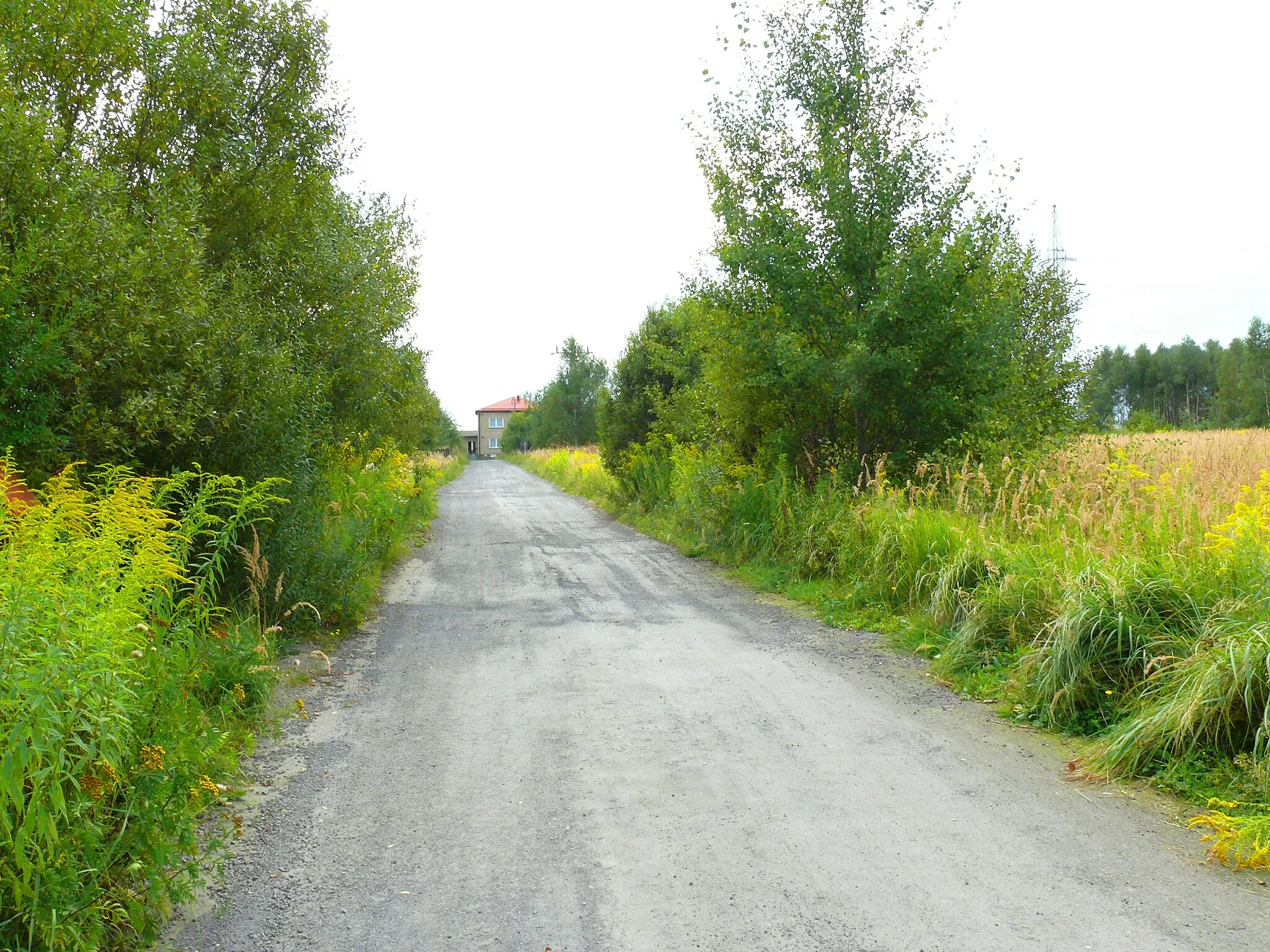 Photo showing: Kuźnica Stara gmina Poraj