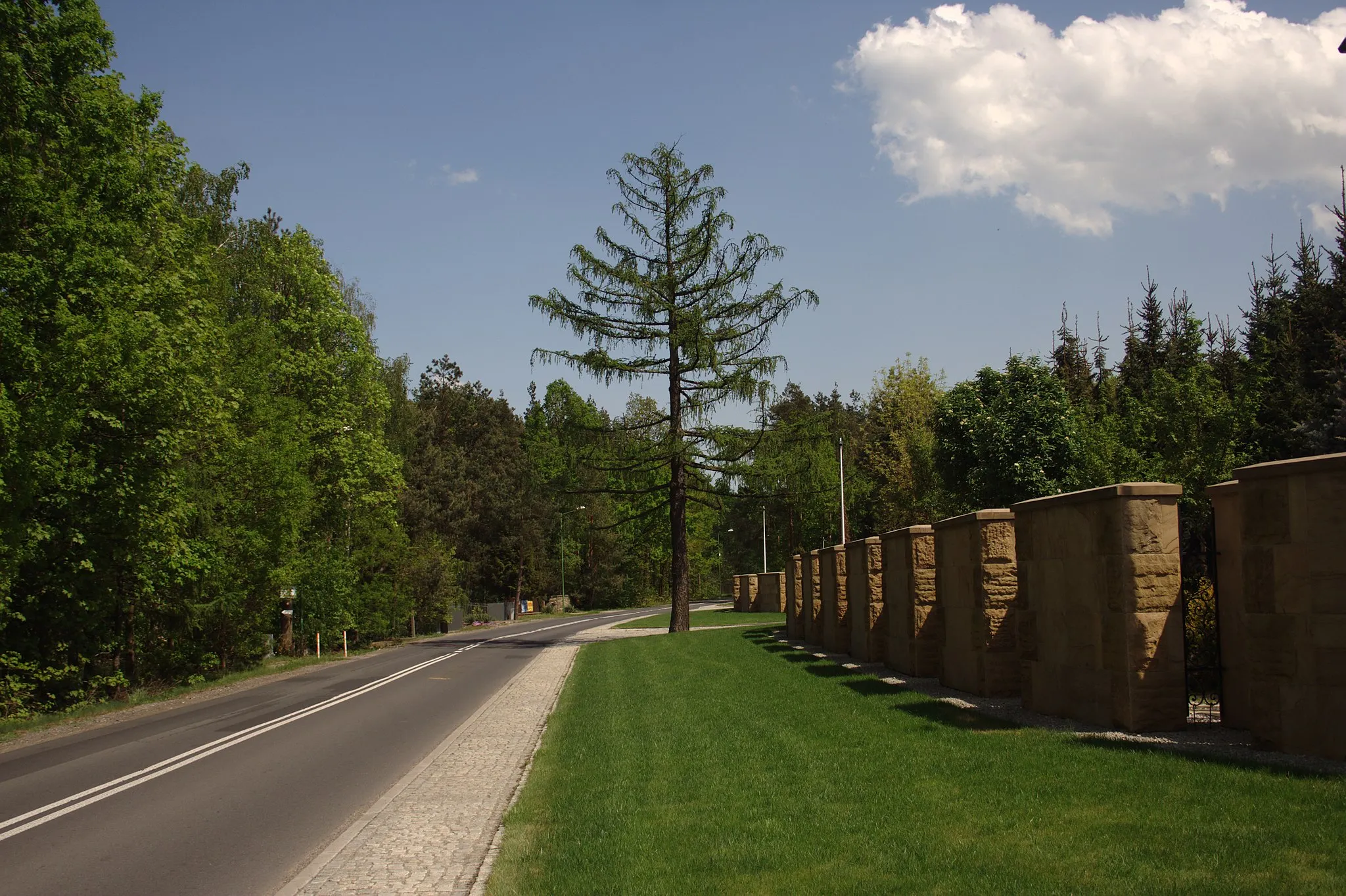 Photo showing: Miejscowość Kuźnica Lechowa w gminie Mykanów