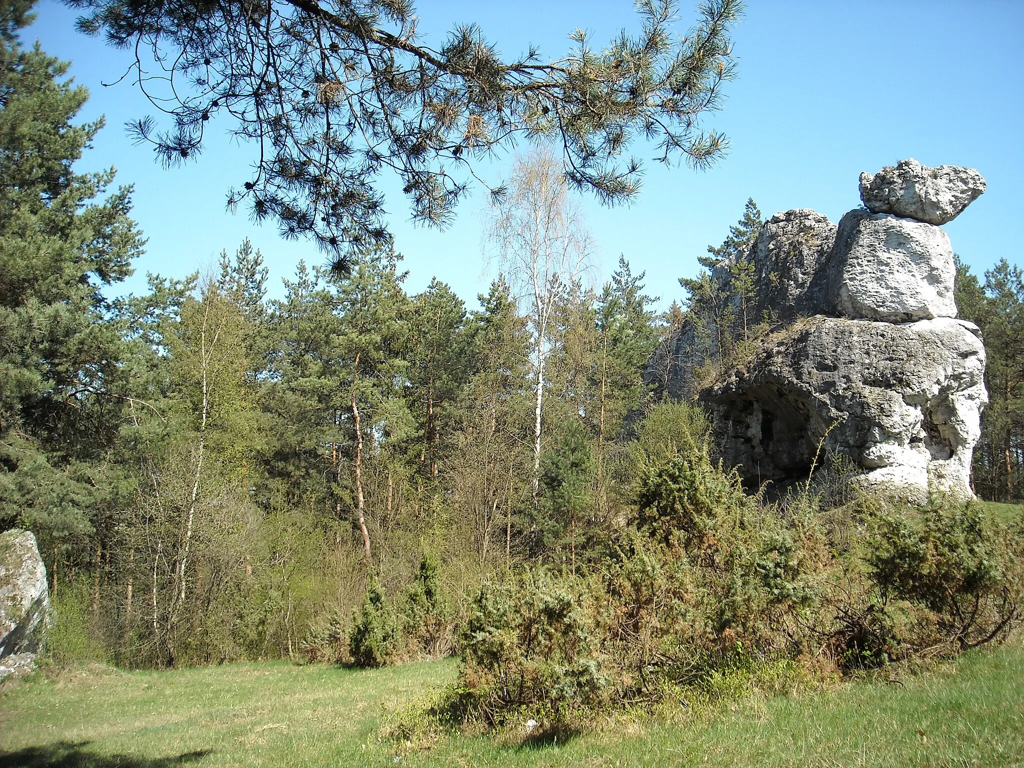Photo showing: Skała o nazwie Wielbłąd