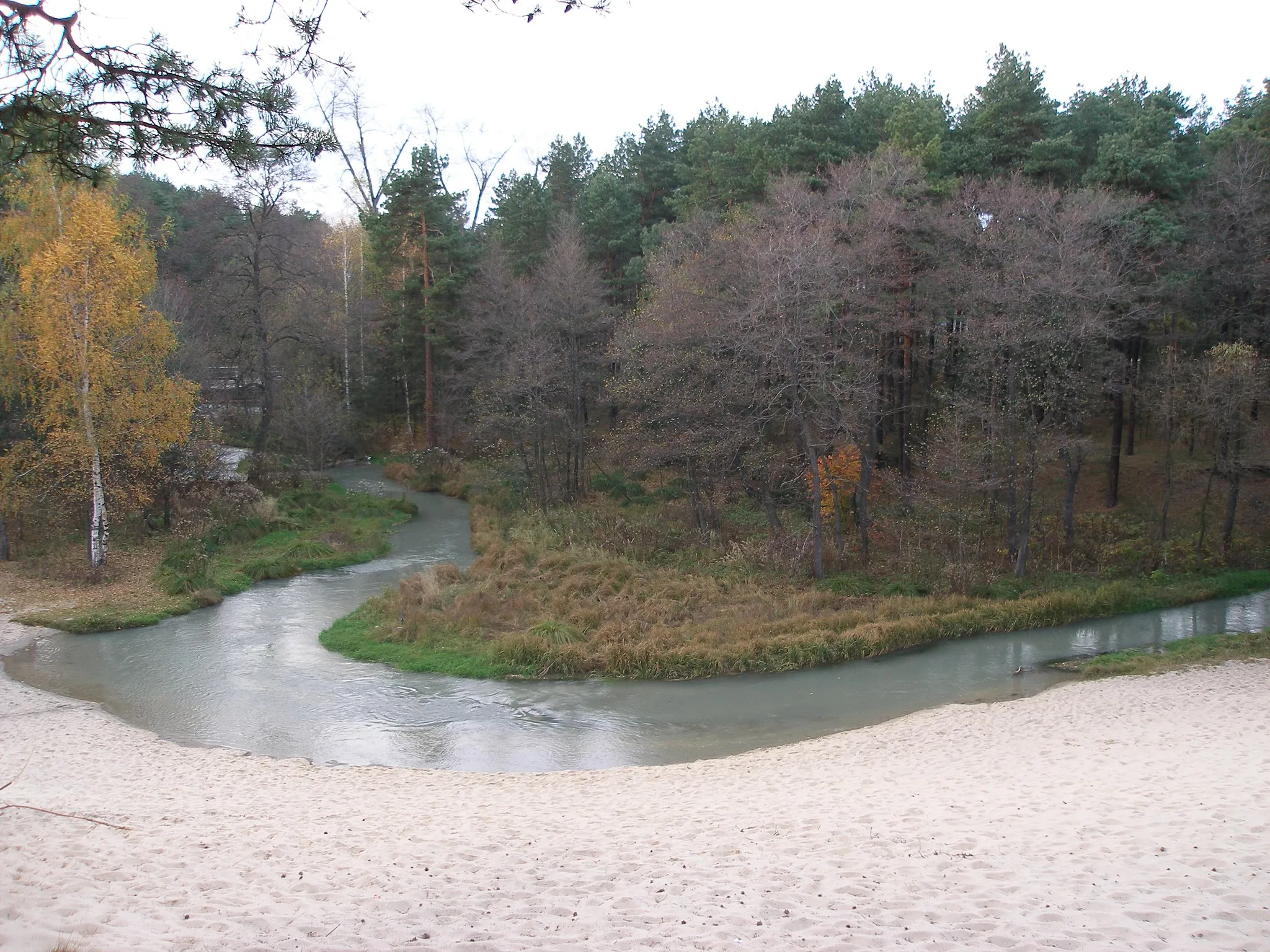 Photo showing: Bukowno-rzeka w środku lasu