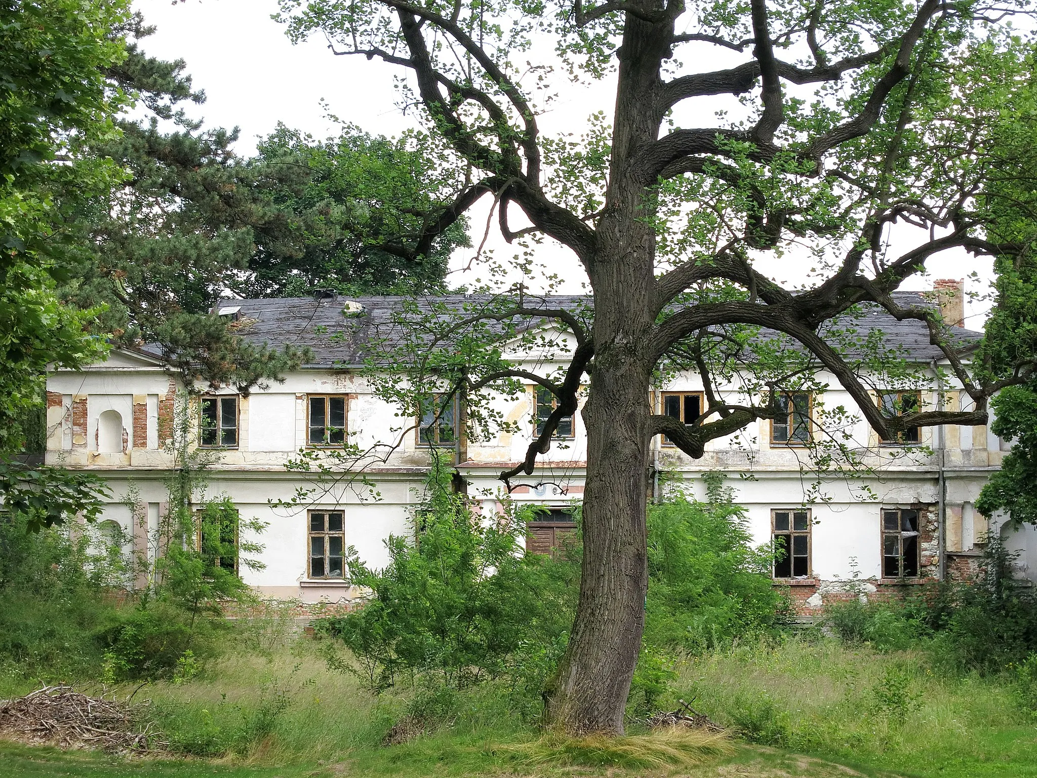 Photo showing: Biała Wielka, pałac, XVIII/XIX w.