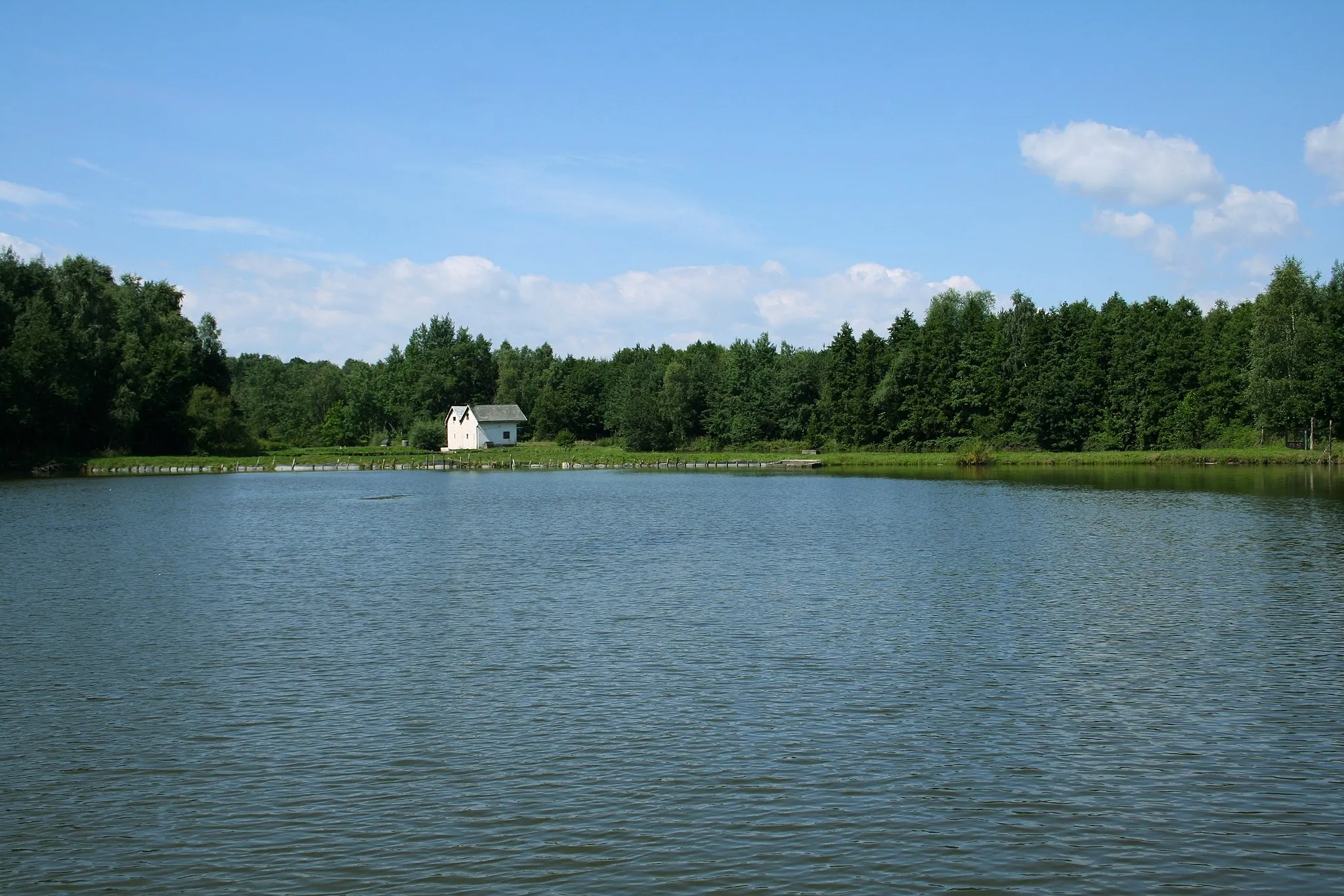 Photo showing: Rybnik - Księżok, staw