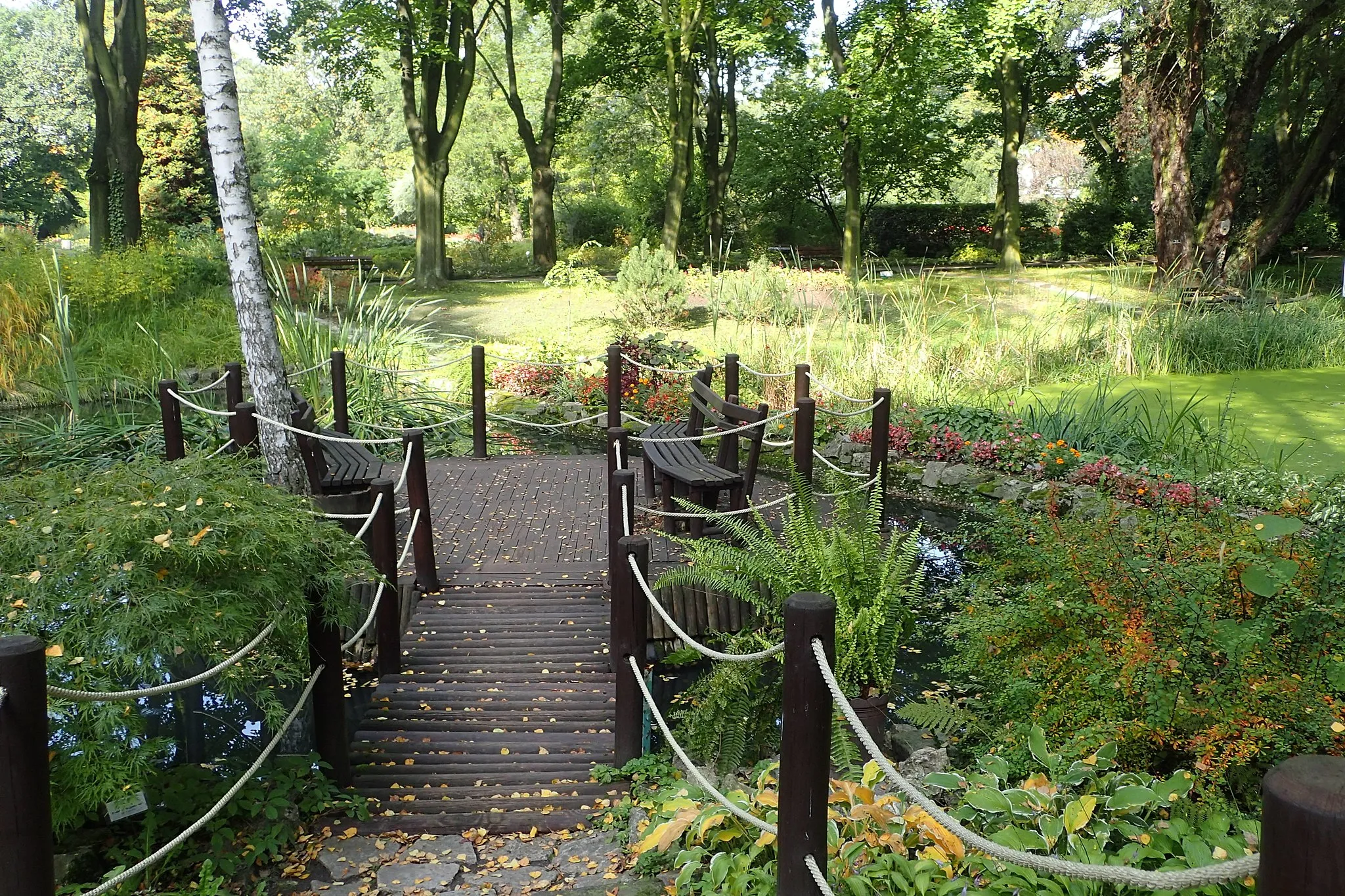 Photo showing: Botanical garden in Zabrze