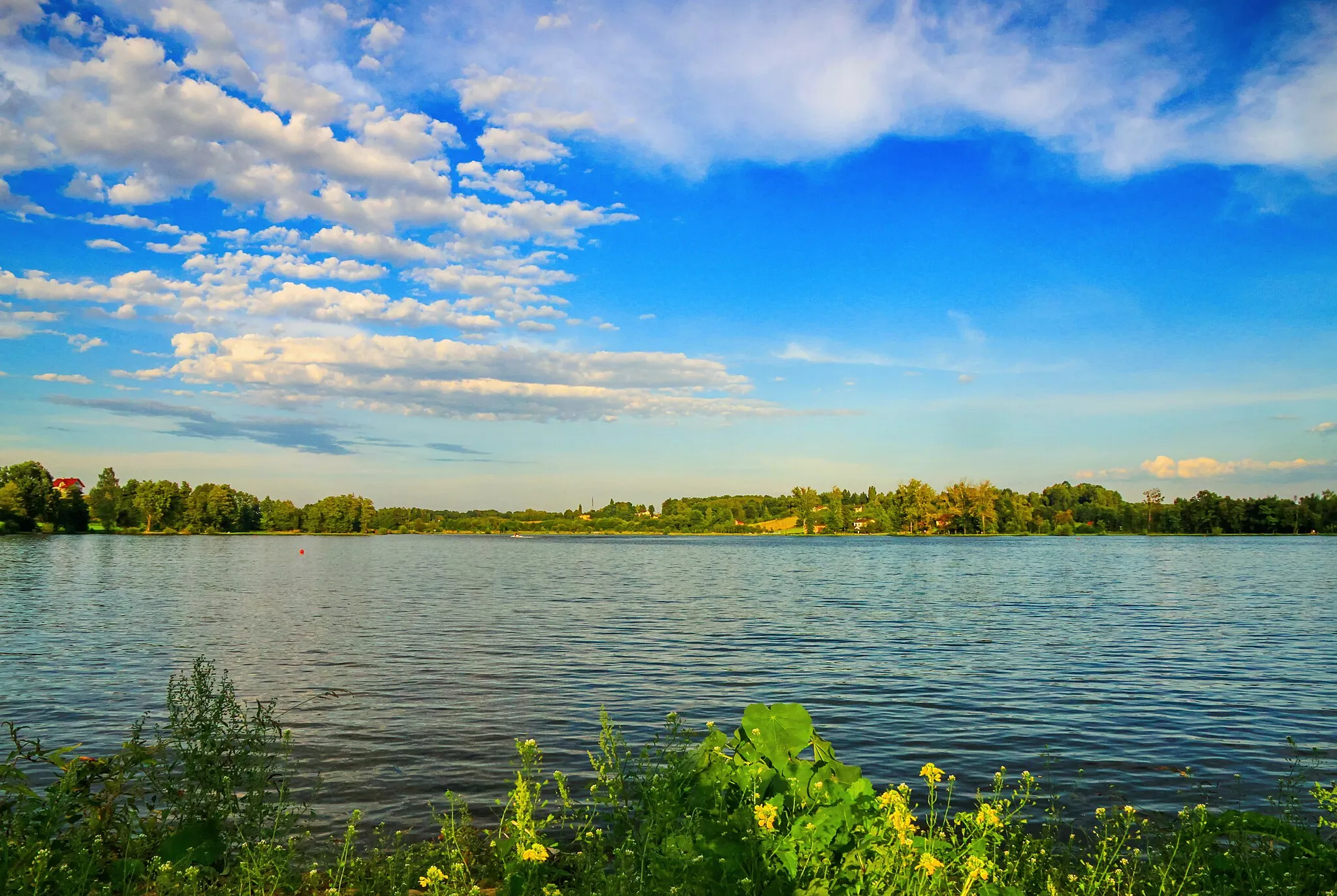 Photo showing: Młyńszczok pond. Zebrzydowice, Silesian Voivodeship, Poland.