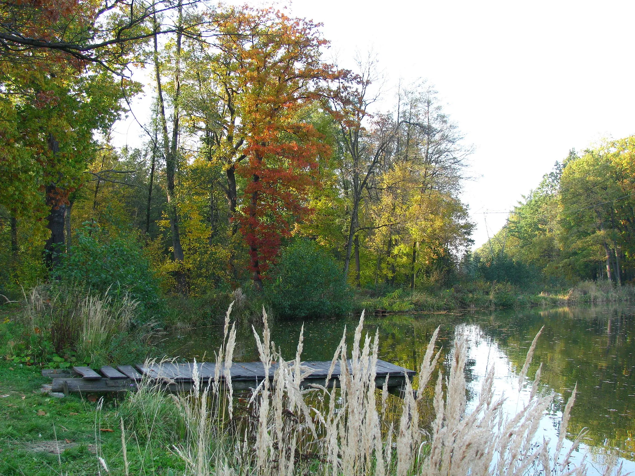 Photo showing: Dziki Park in Pszczyna