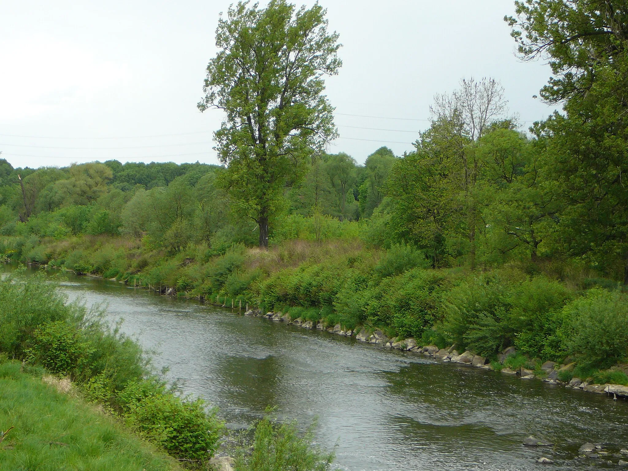 Photo showing: Olše ve Věřňovicích