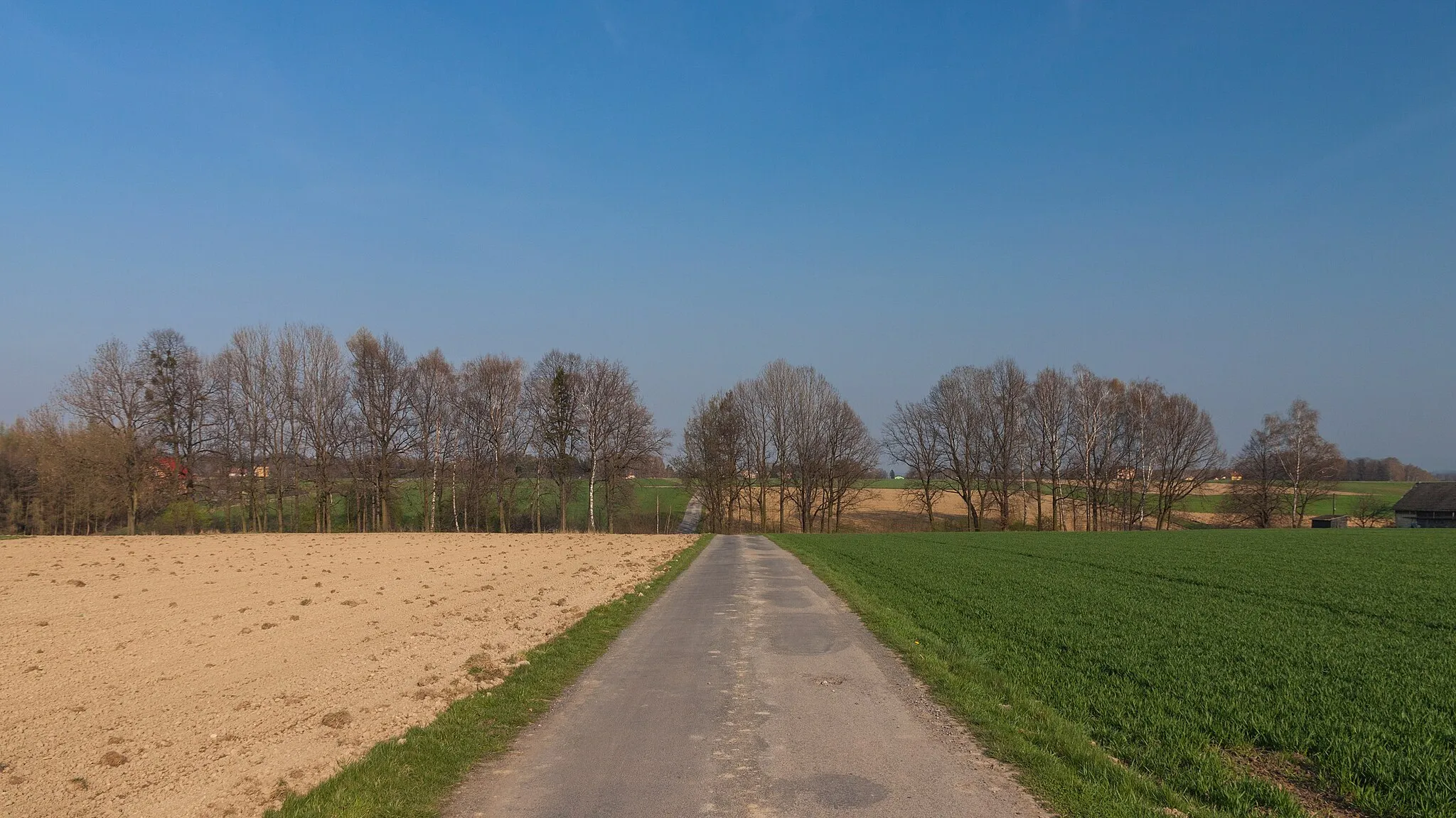 Photo showing: Leśna street. Brzezówka, Silesian Voivodeship, Poland.