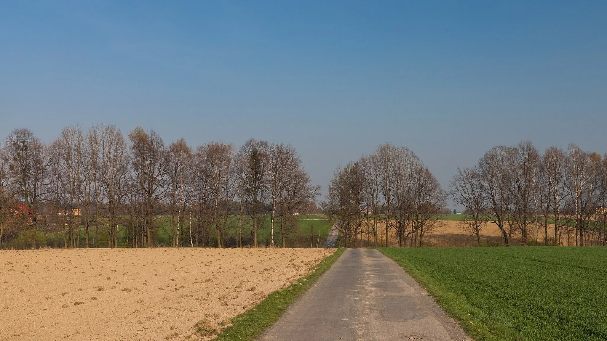 Photo showing: Leśna street. Brzezówka, Silesian Voivodeship, Poland.