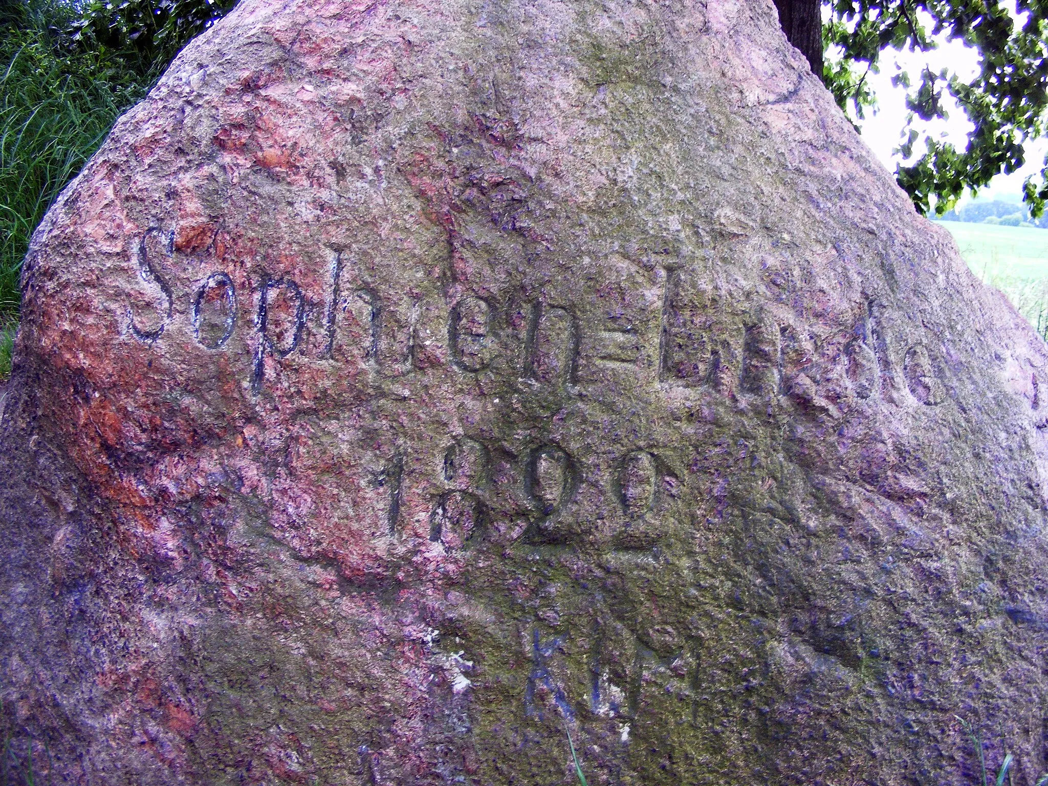 Photo showing: This photograph shows a natural monument of Poland registered under number