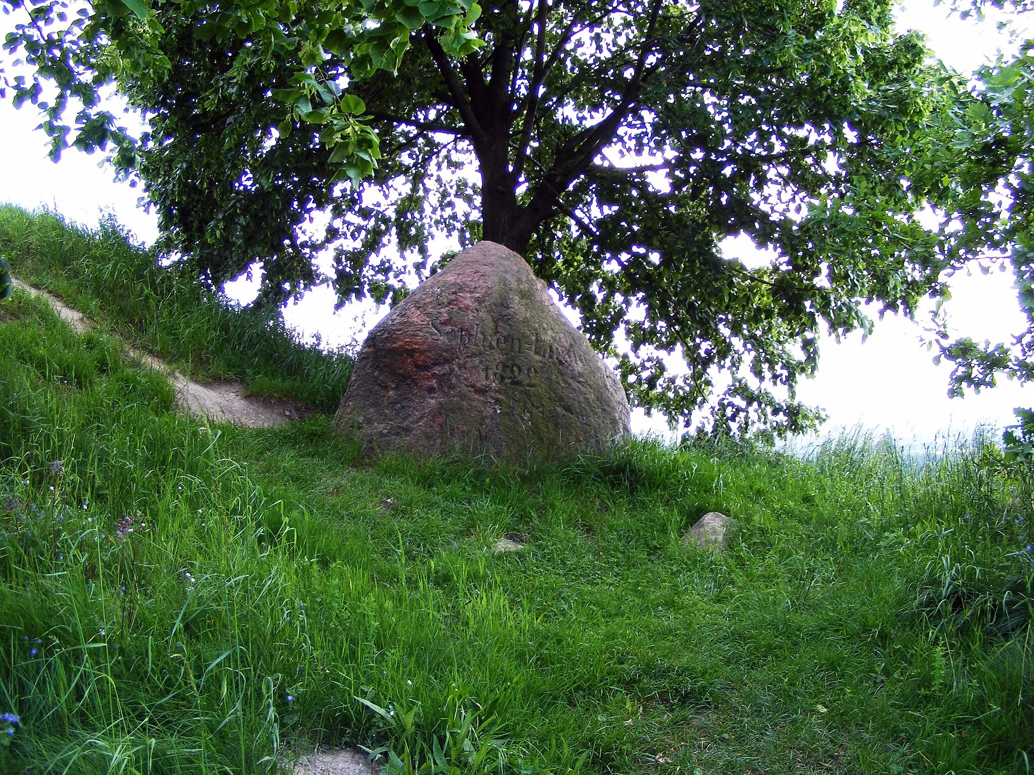Photo showing: This photograph shows a natural monument of Poland registered under number