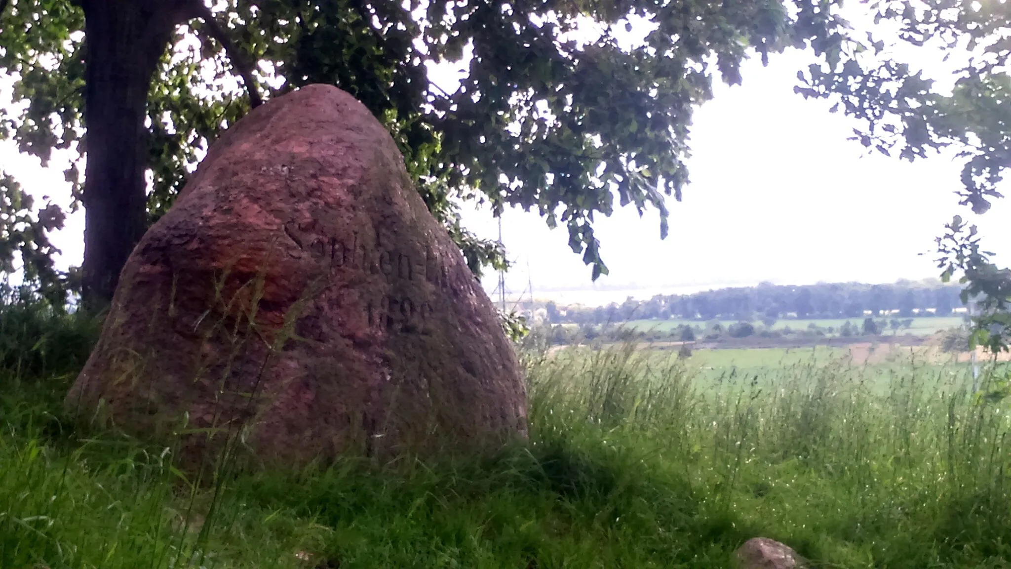 Photo showing: This photograph shows a natural monument of Poland registered under number