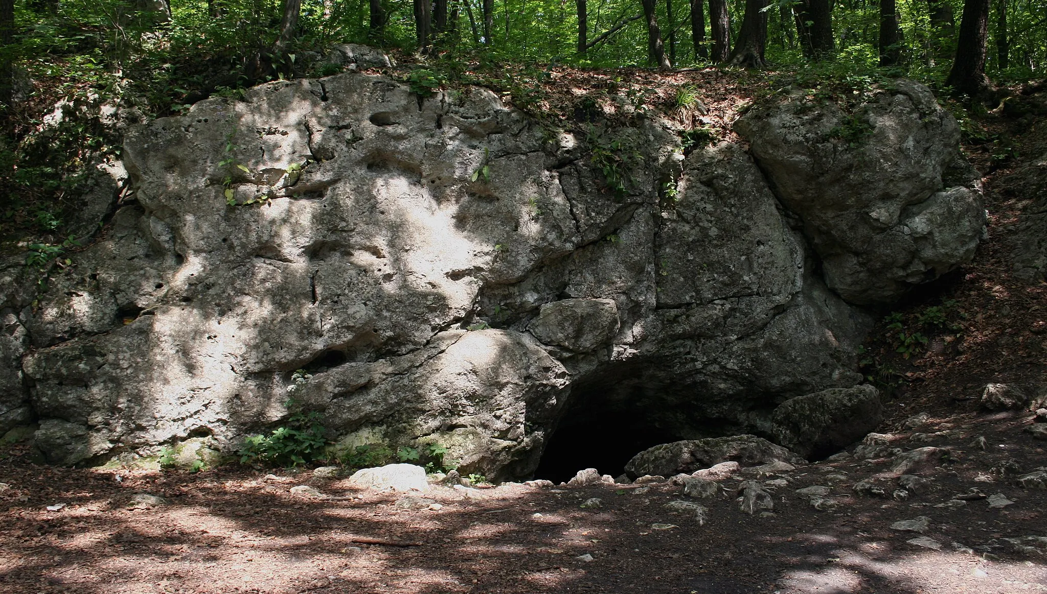 Photo showing: Wejście do jaskini w rezerwacie Zielona Góra, powiat częstochowski