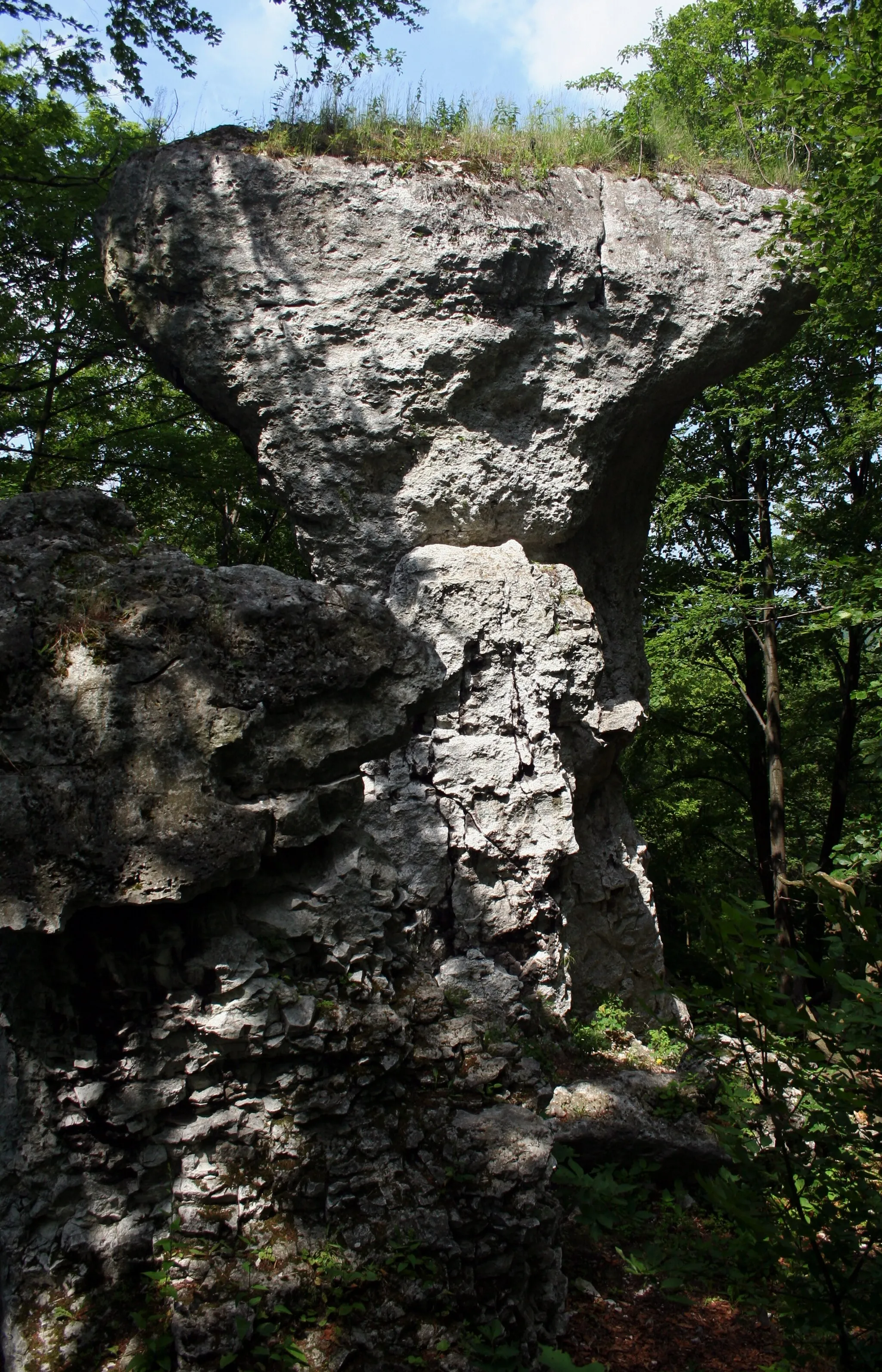 Photo showing: Skała "Diabelskie Kowadło" w rezerwacie Zielona Góra, powiat częstochowski