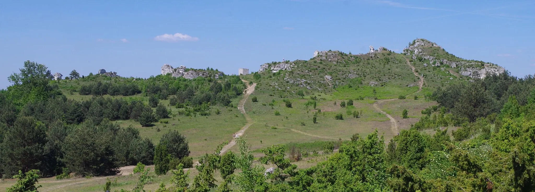 Photo showing: Wzgórze Lipówki, widok spod Biakła