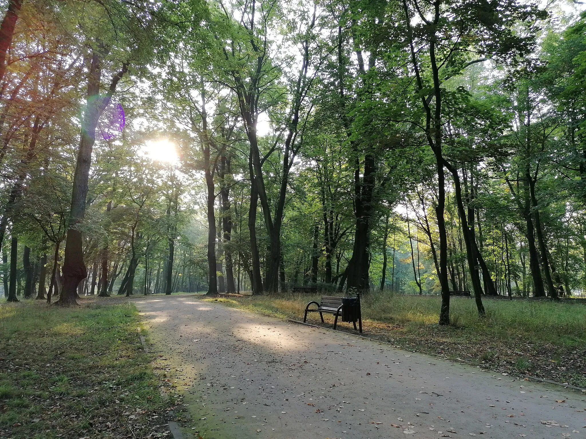Photo showing: Franciszek Kachel City Park, Bytom, Poland.