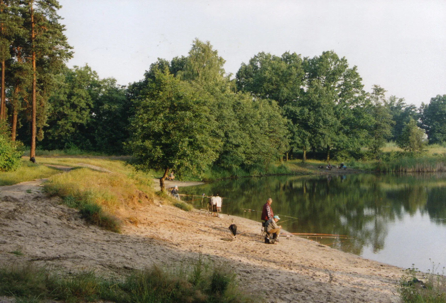 Photo showing: Zabrze Makoszowy, a forest pond