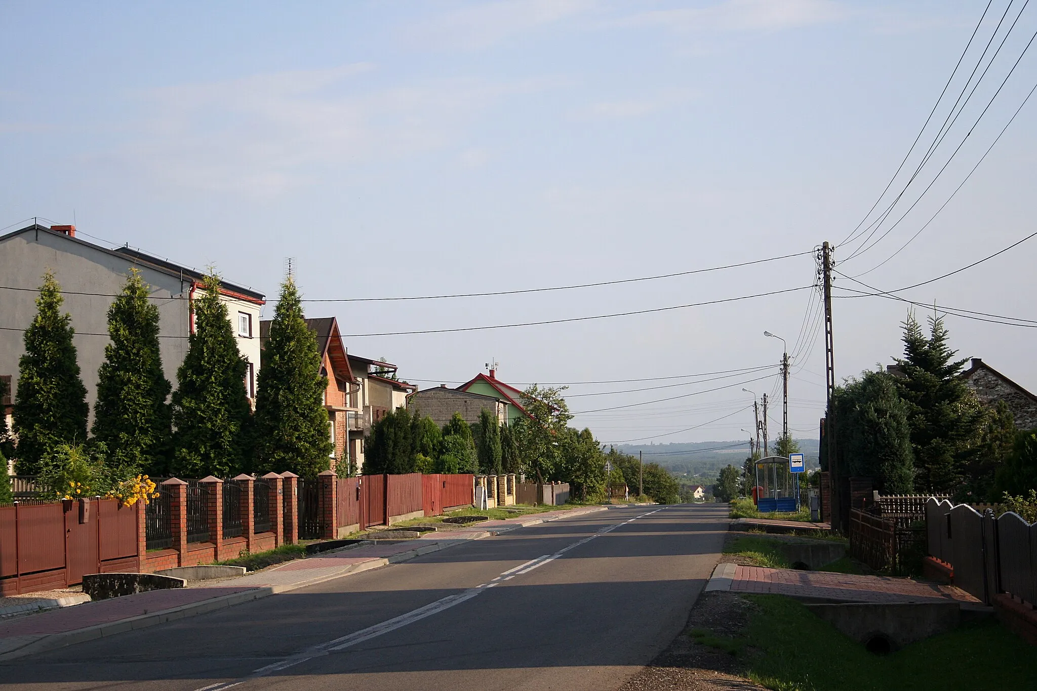 Photo showing: Łysiec w gminie Starcza