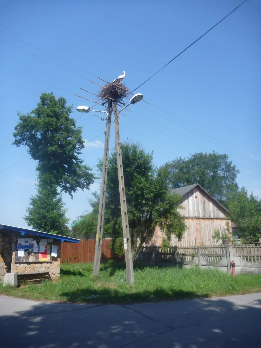 Photo showing: (N010A) Gniazdo bocianie we wsi Łęg (sierpień 2014)