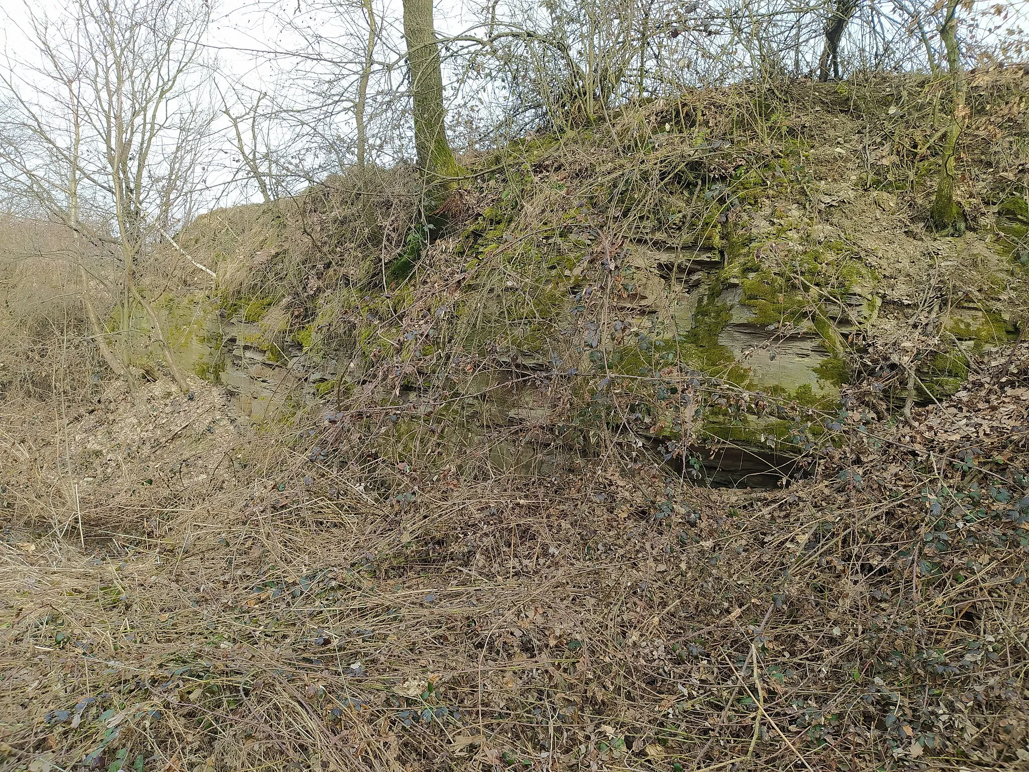 Photo showing: quarry Hlubečkova skála, rocks, Háj ve Slezsku, Czech Republic