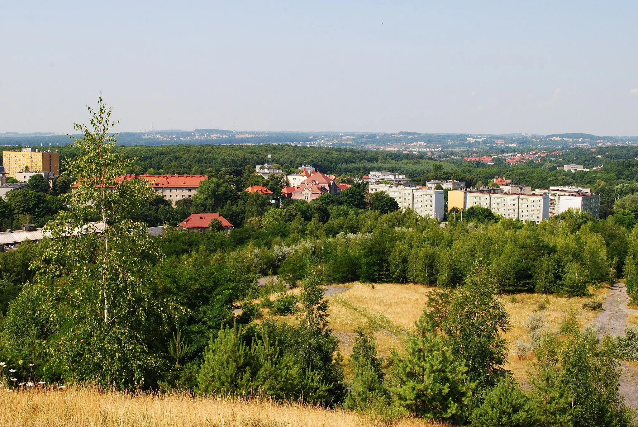 Photo showing: Katowice - Kostuchna. Hałda w Katowicach-Kostuchnie. Widok na kolonię Boże Dary