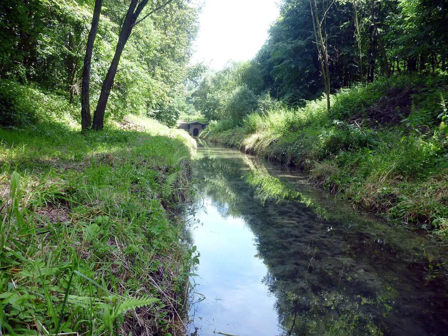 Photo showing: Roznos Głębokiej Sztolni "Fryderyk"