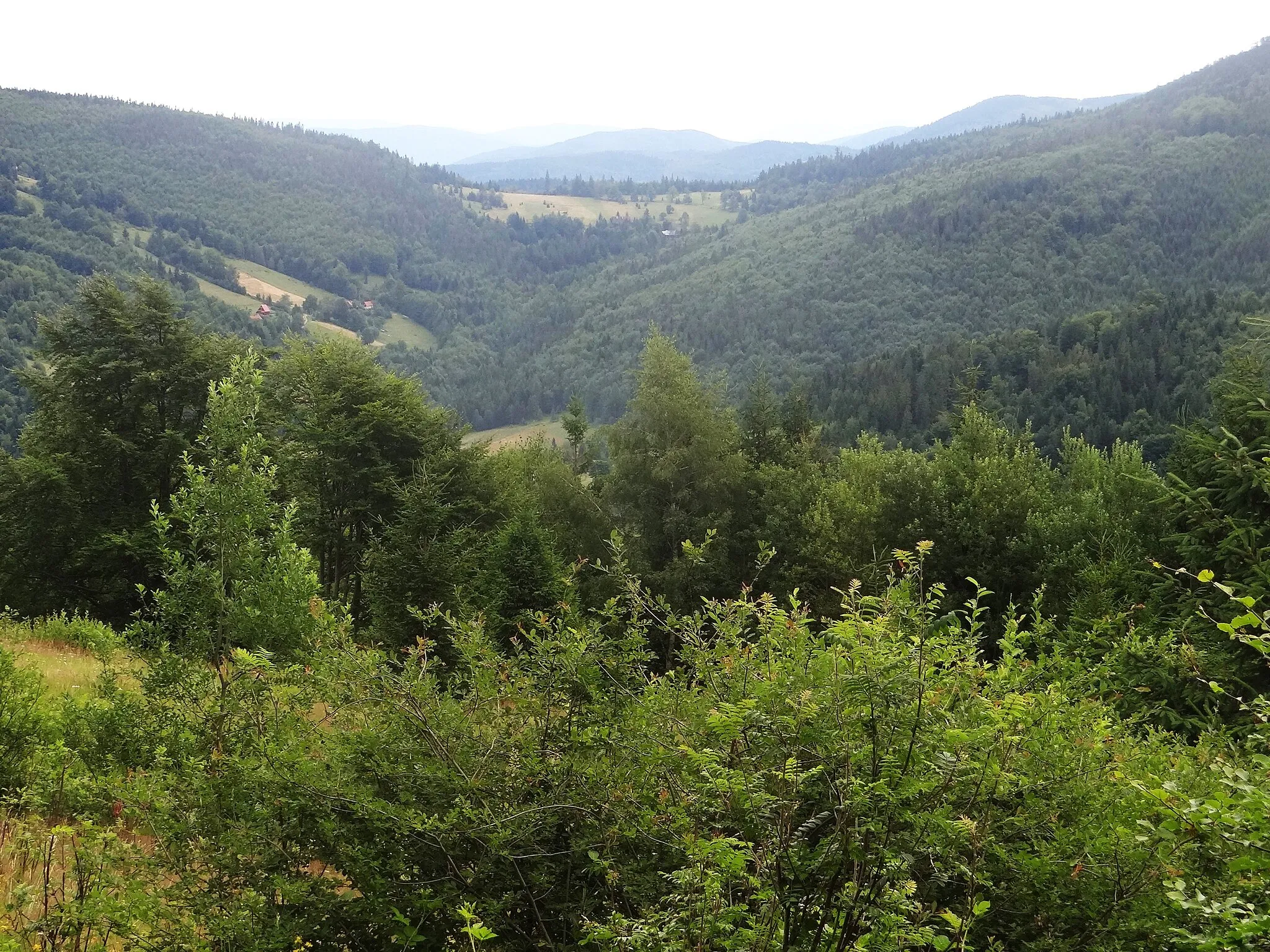 Photo showing: Widok  spod Jaworzyny na dolinę Bystrej i przełęcz Klekociny