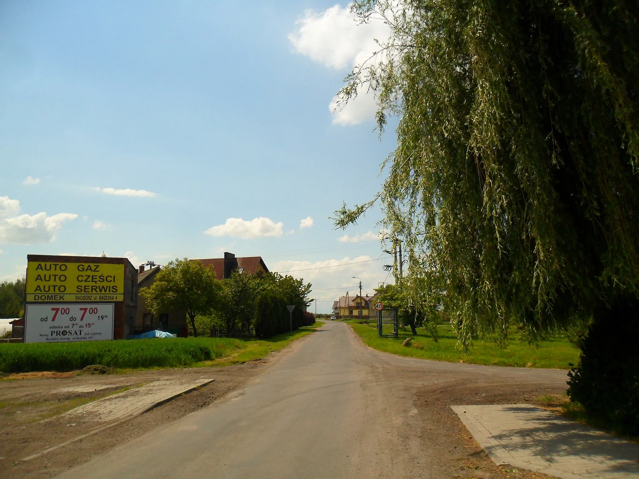 Photo showing: Żerdziny, gmina Pietrowice Wielkie