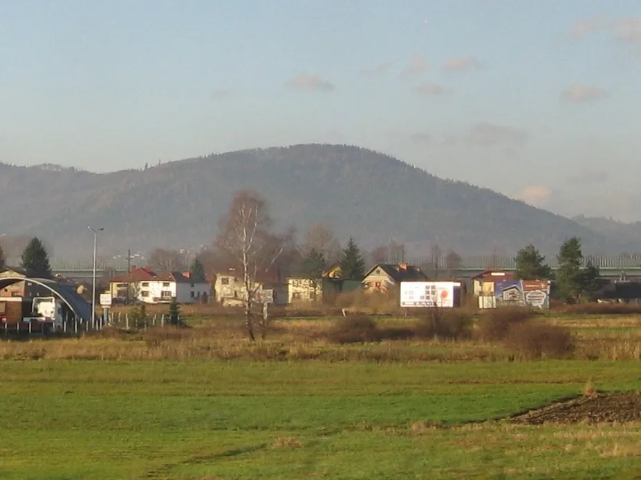 Photo showing: Góra Skalite (864 m n.p.m.), widok z okna pociągu w Łodygowicach.