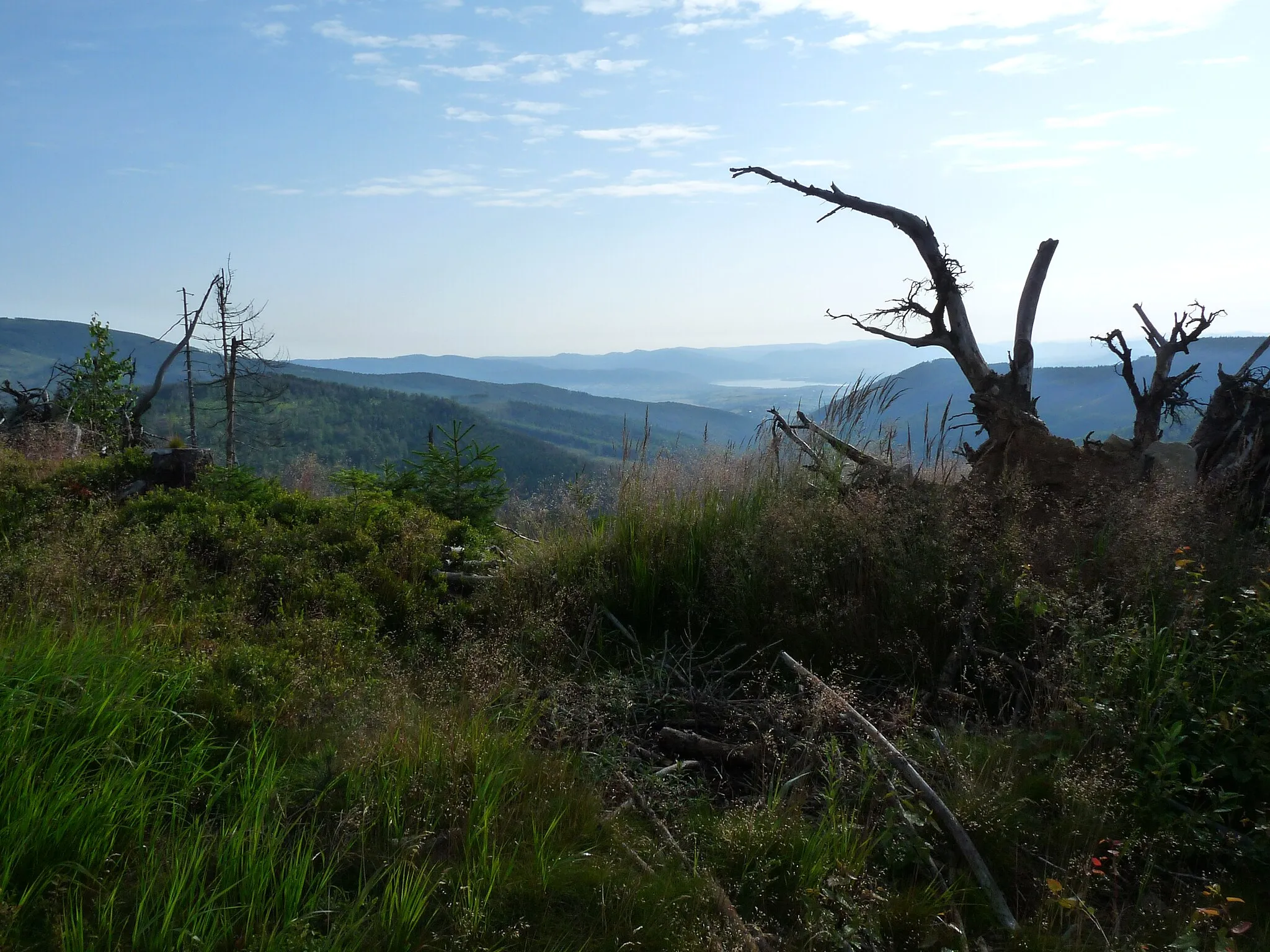 Photo showing: Beskid Żywiecki 14