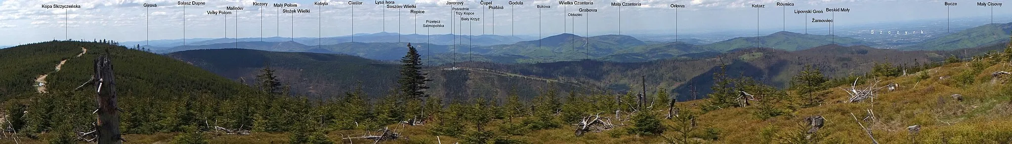Photo showing: Panorama z Małego Skrzycznego