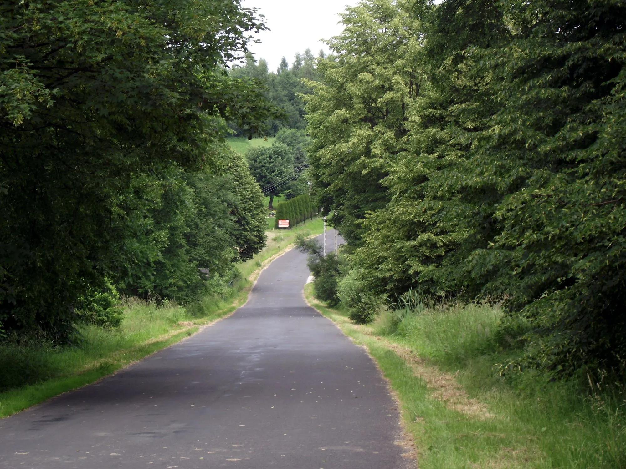 Photo showing: Silnice z Rudice do Věščútu na Těšínsku.