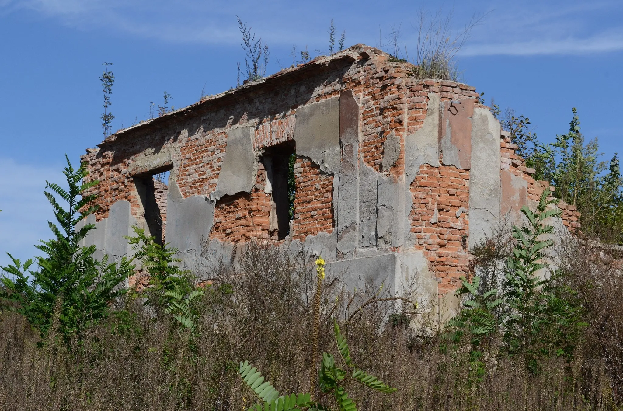Photo showing: Ruiny dawnego dworu w Grabówce
Grabówka, Lubomia