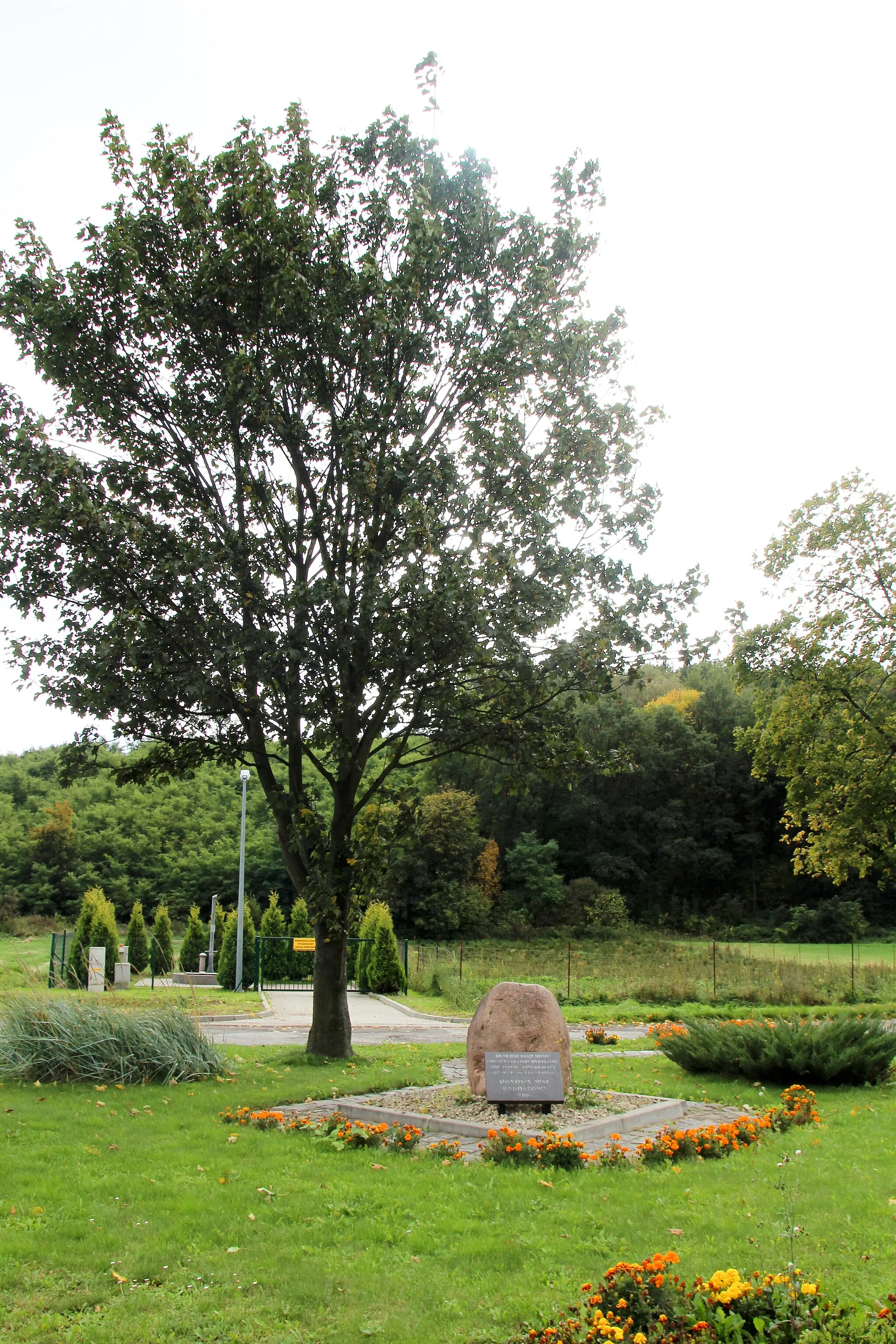 Photo showing: Radoszowy – wieś w Polsce położona w województwie opolskim, w powiecie kędzierzyńsko-kozielskim, w gminie Pawłowiczki.